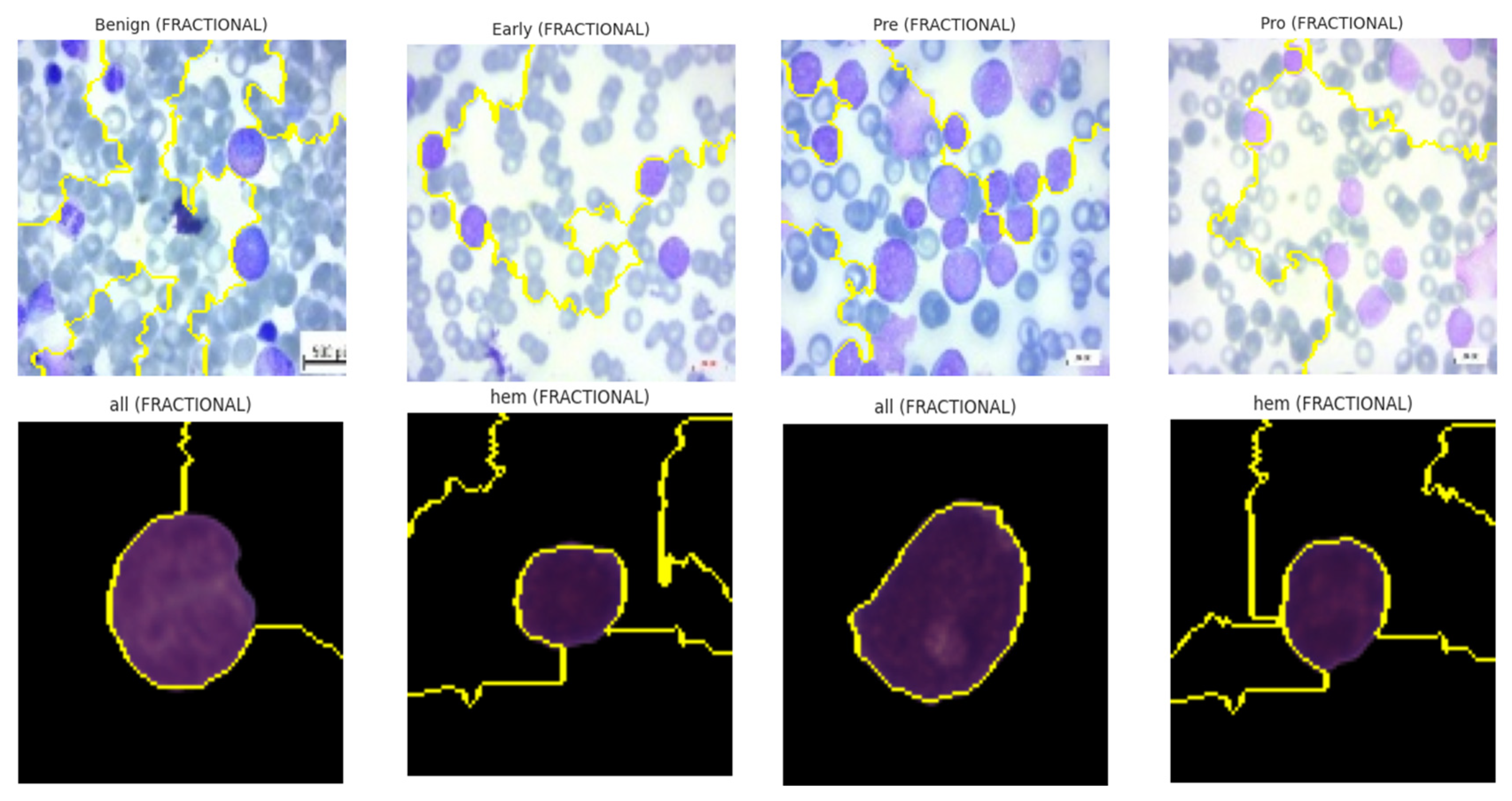 Diagnostics 15 02040 g017