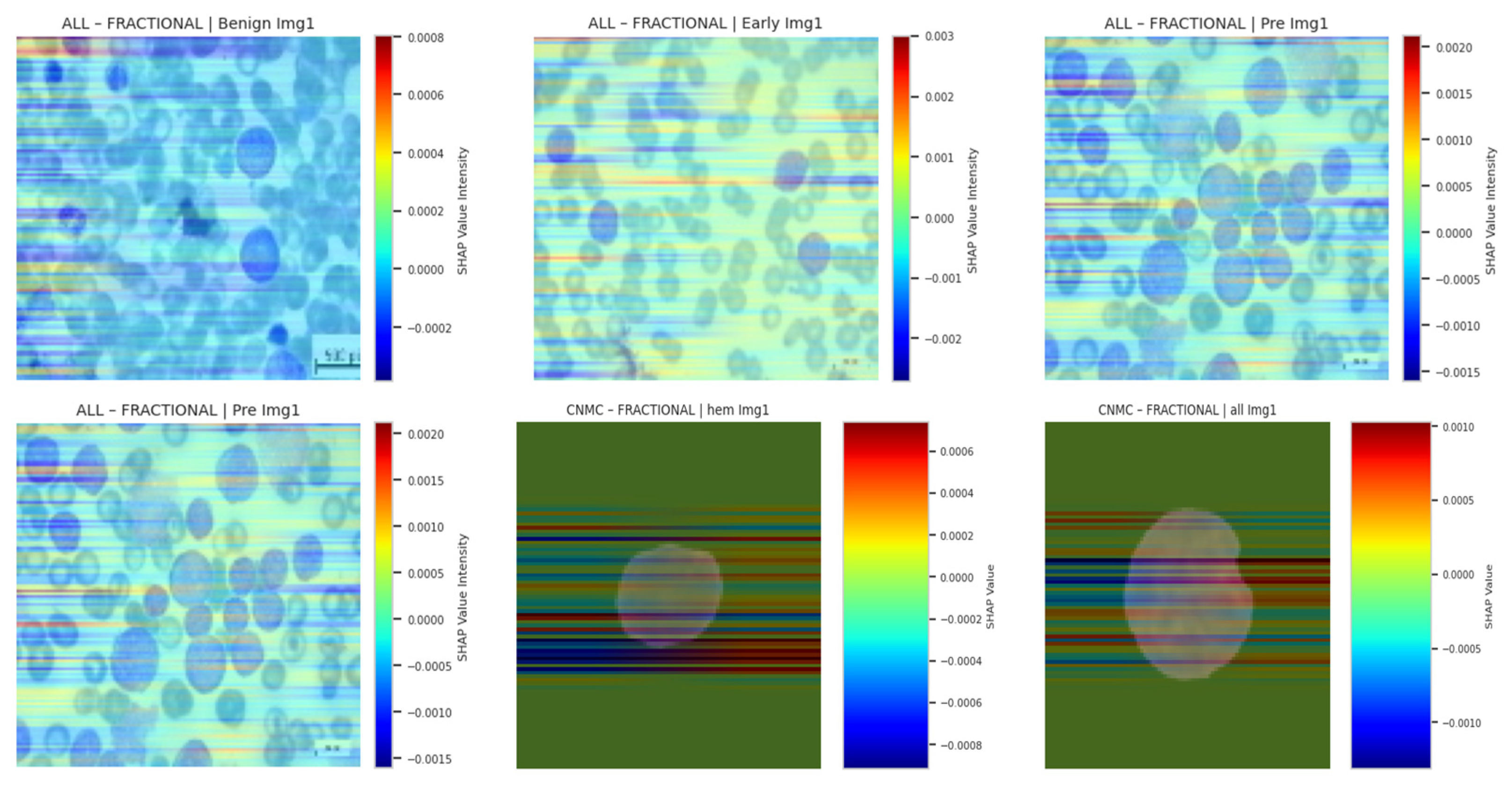 Diagnostics 15 02040 g019