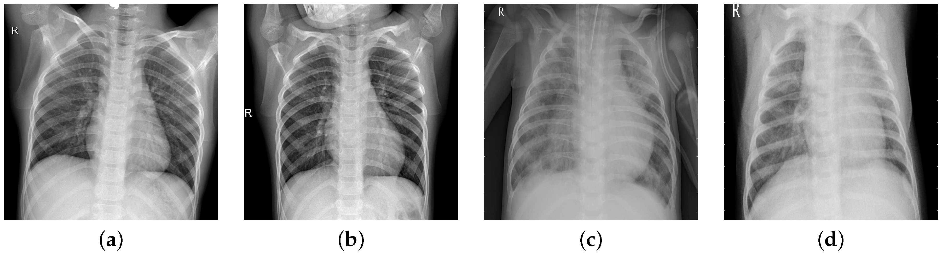 Diagnostics 15 02041 g001
