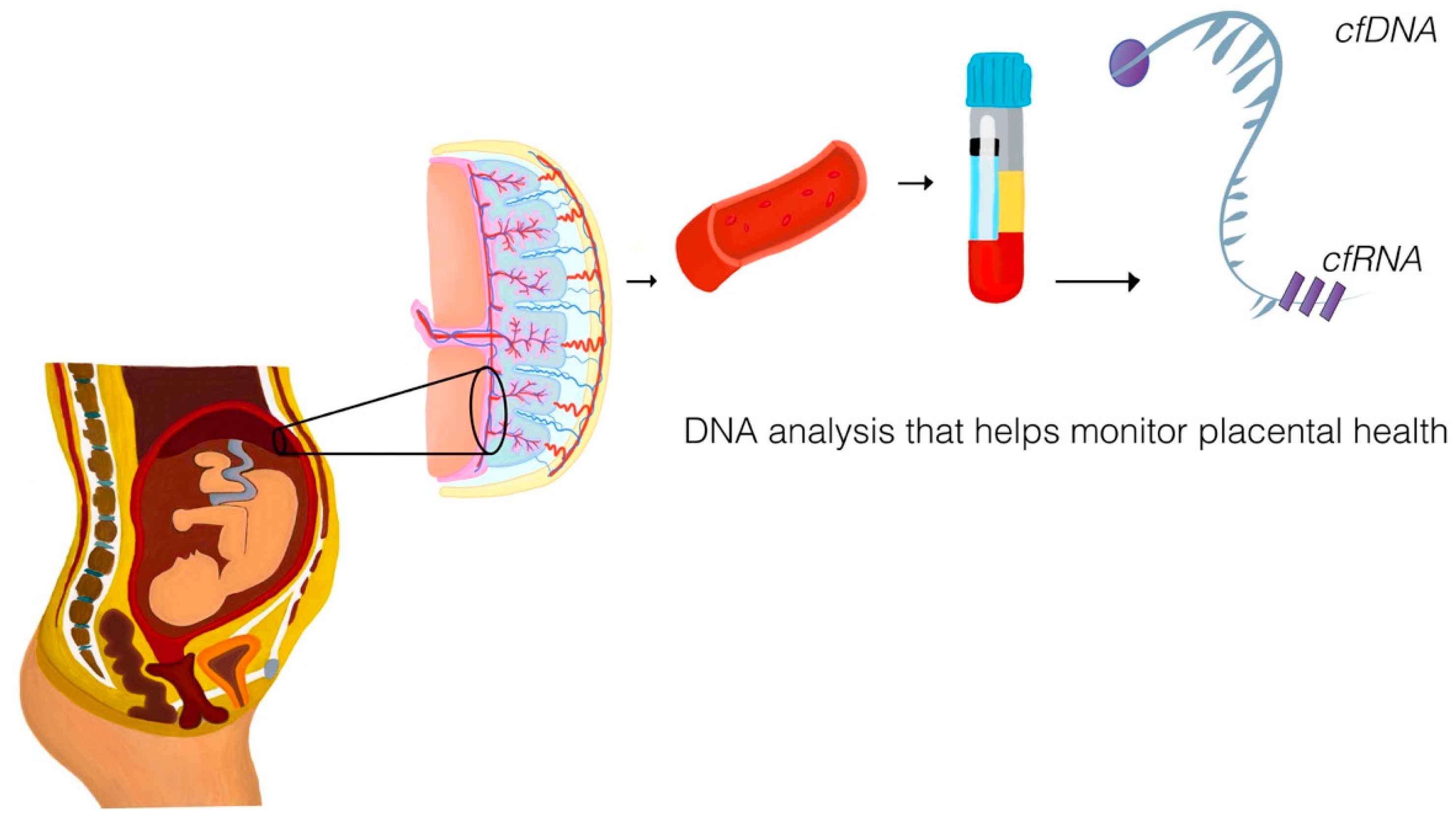 Diagnostics 15 02056 g001 Diagnostics 15 02056 g001