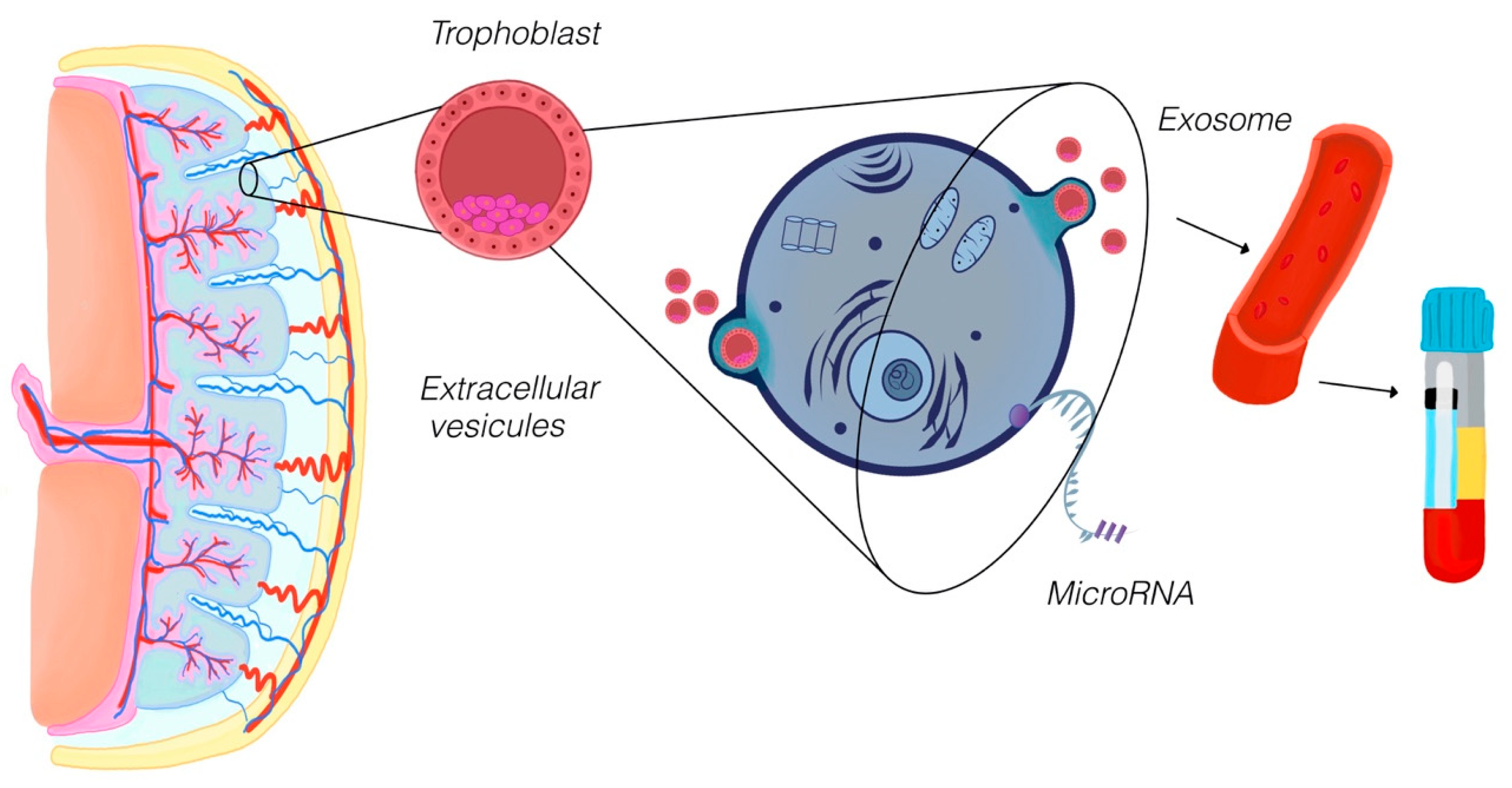 Diagnostics 15 02056 g002 Diagnostics 15 02056 g002