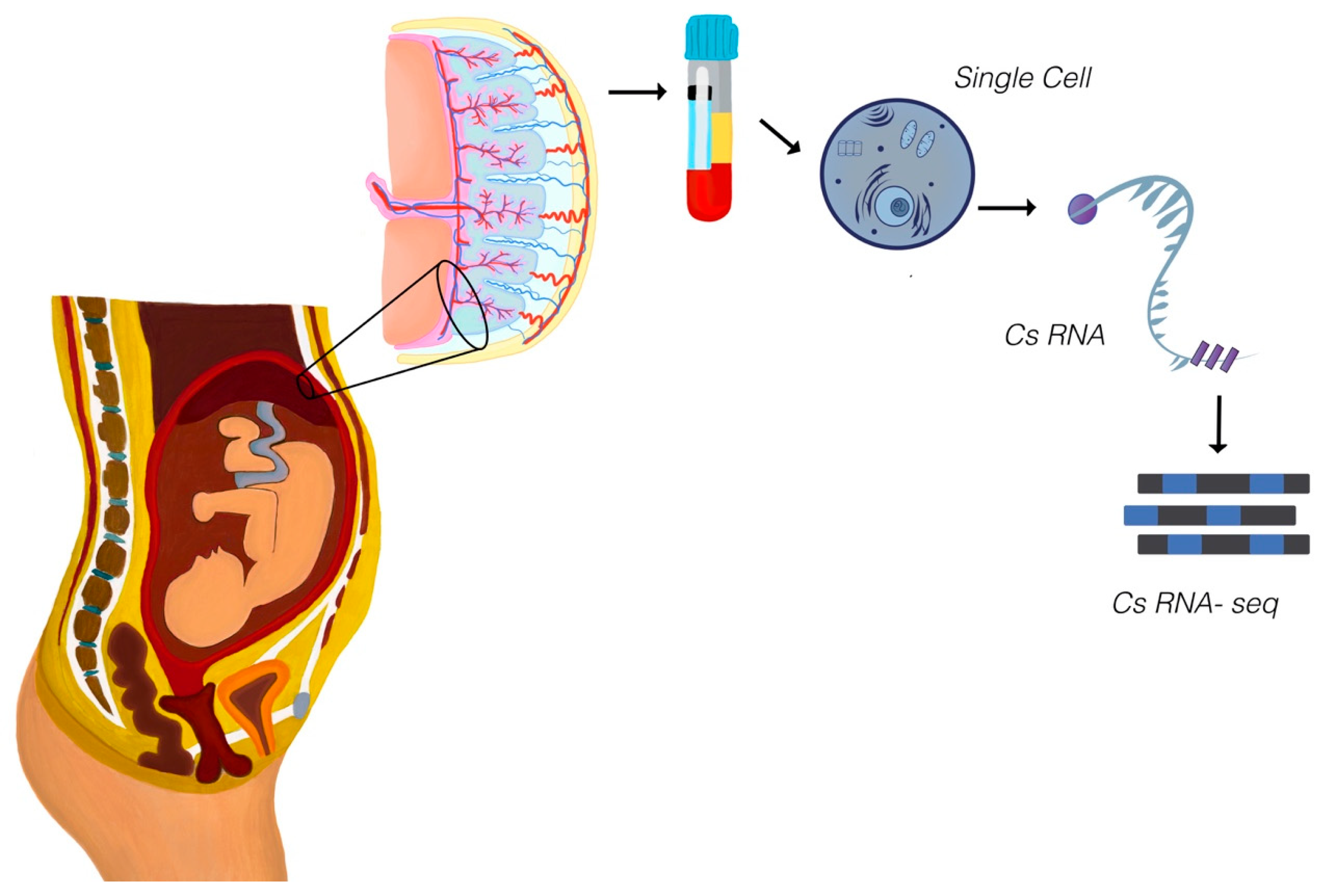 Diagnostics 15 02056 g003 Diagnostics 15 02056 g003