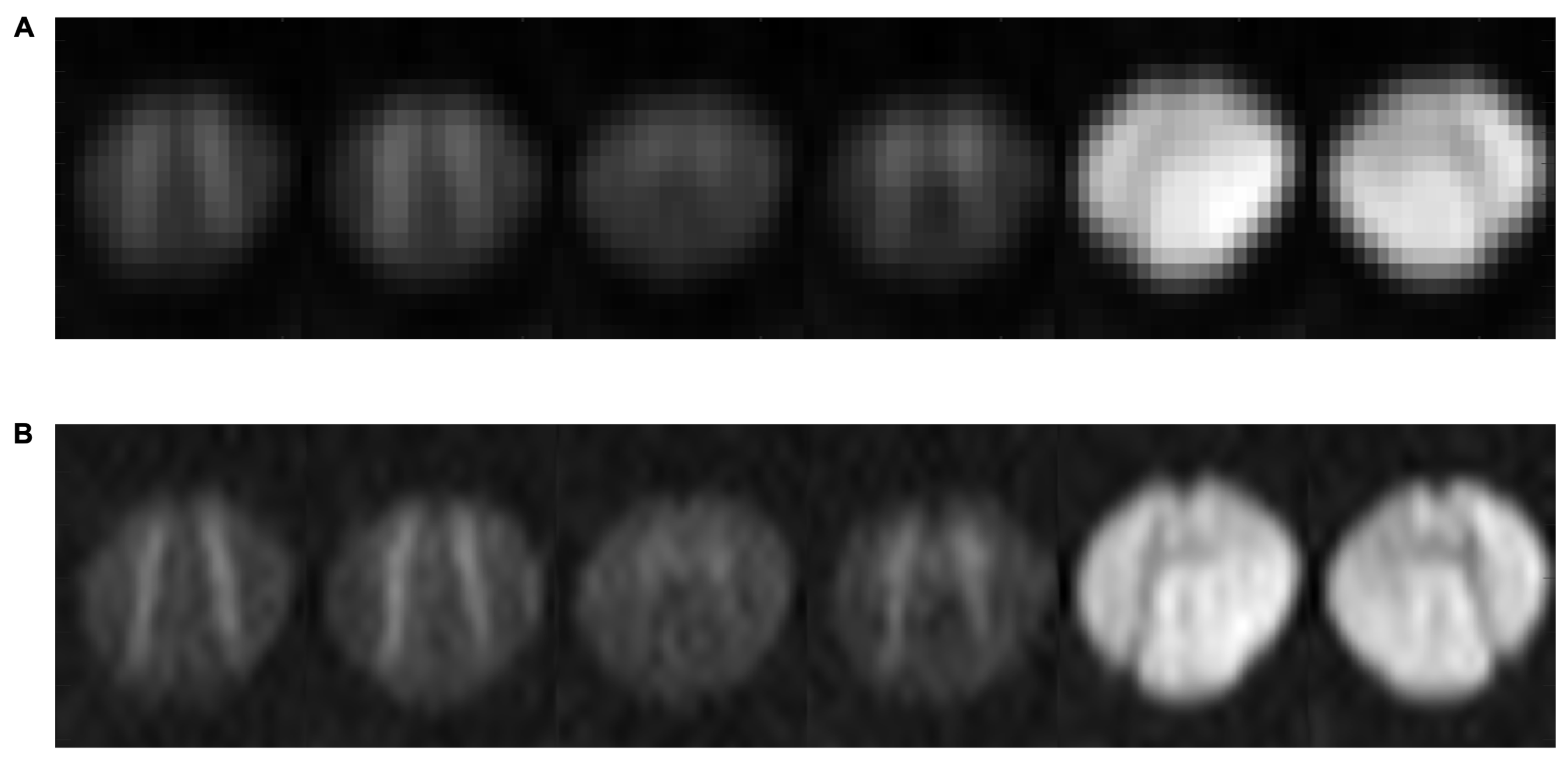 Diagnostics 15 02057 g002 Diagnostics 15 02057 g002