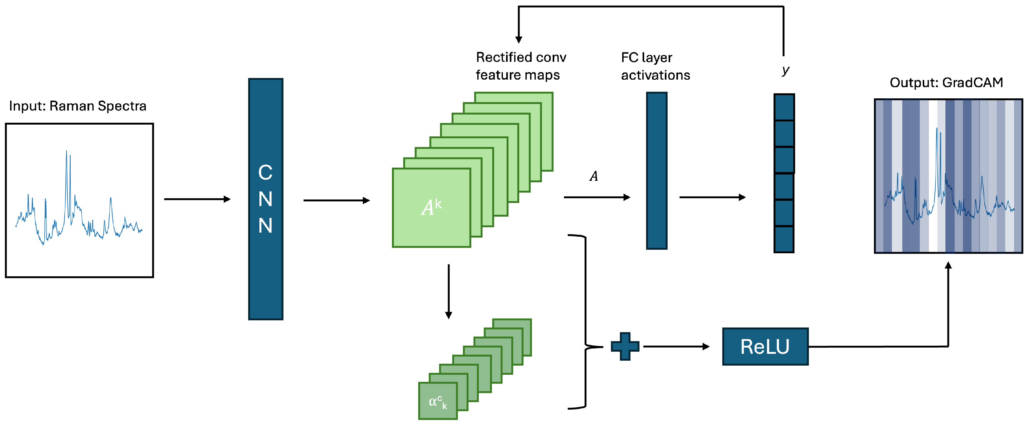 Diagnostics 15 02063 g002 Diagnostics 15 02063 g002