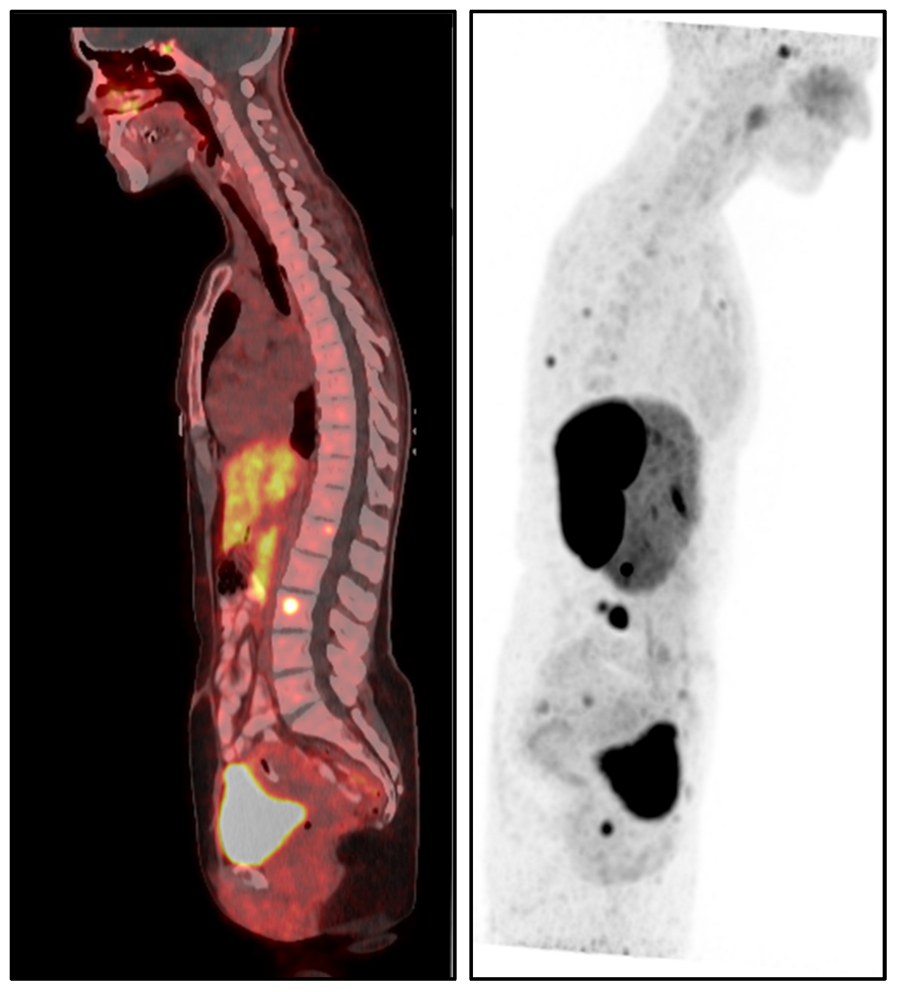 Diagnostics 15 02064 g001