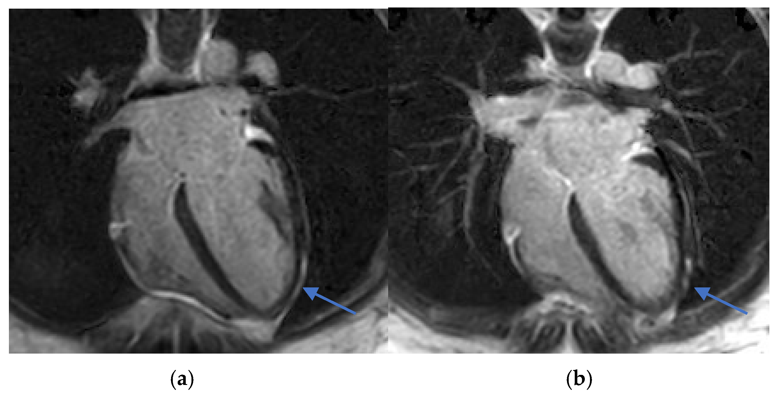 Diagnostics 15 02064 g003
