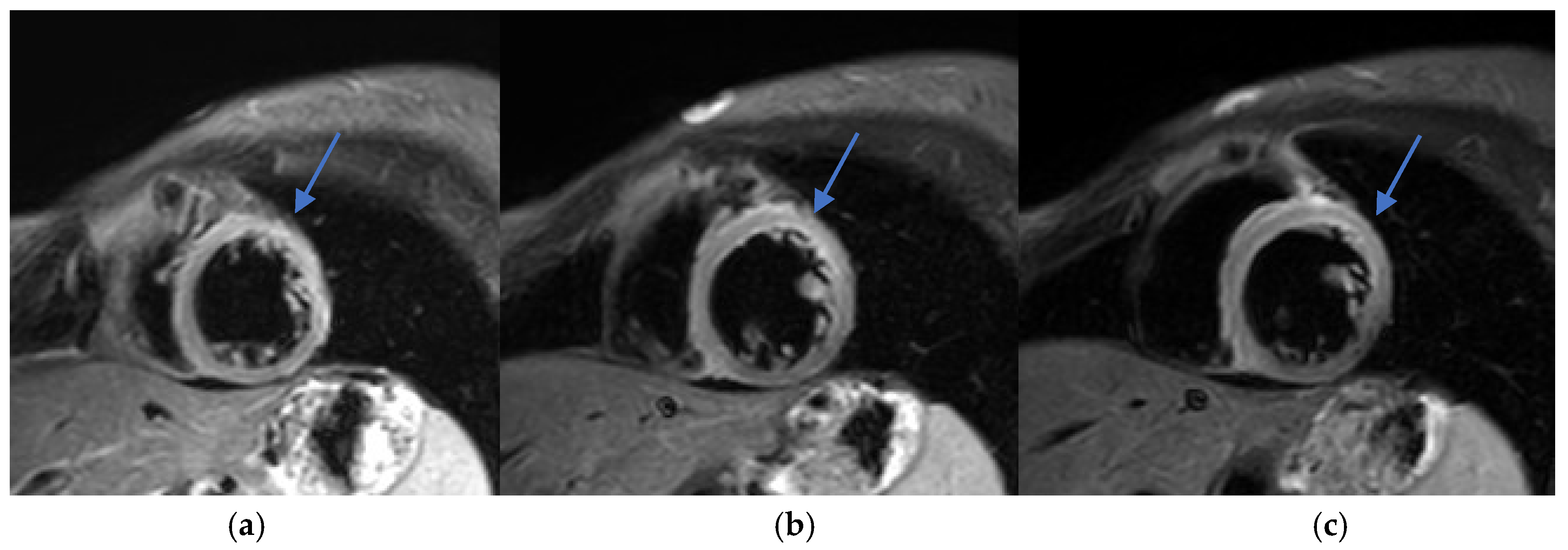 Diagnostics 15 02064 g004