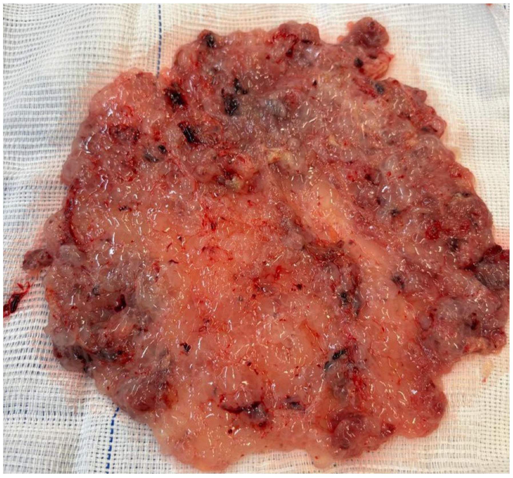 Diagnostics 15 02068 g001 Diagnostics 15 02068 g001