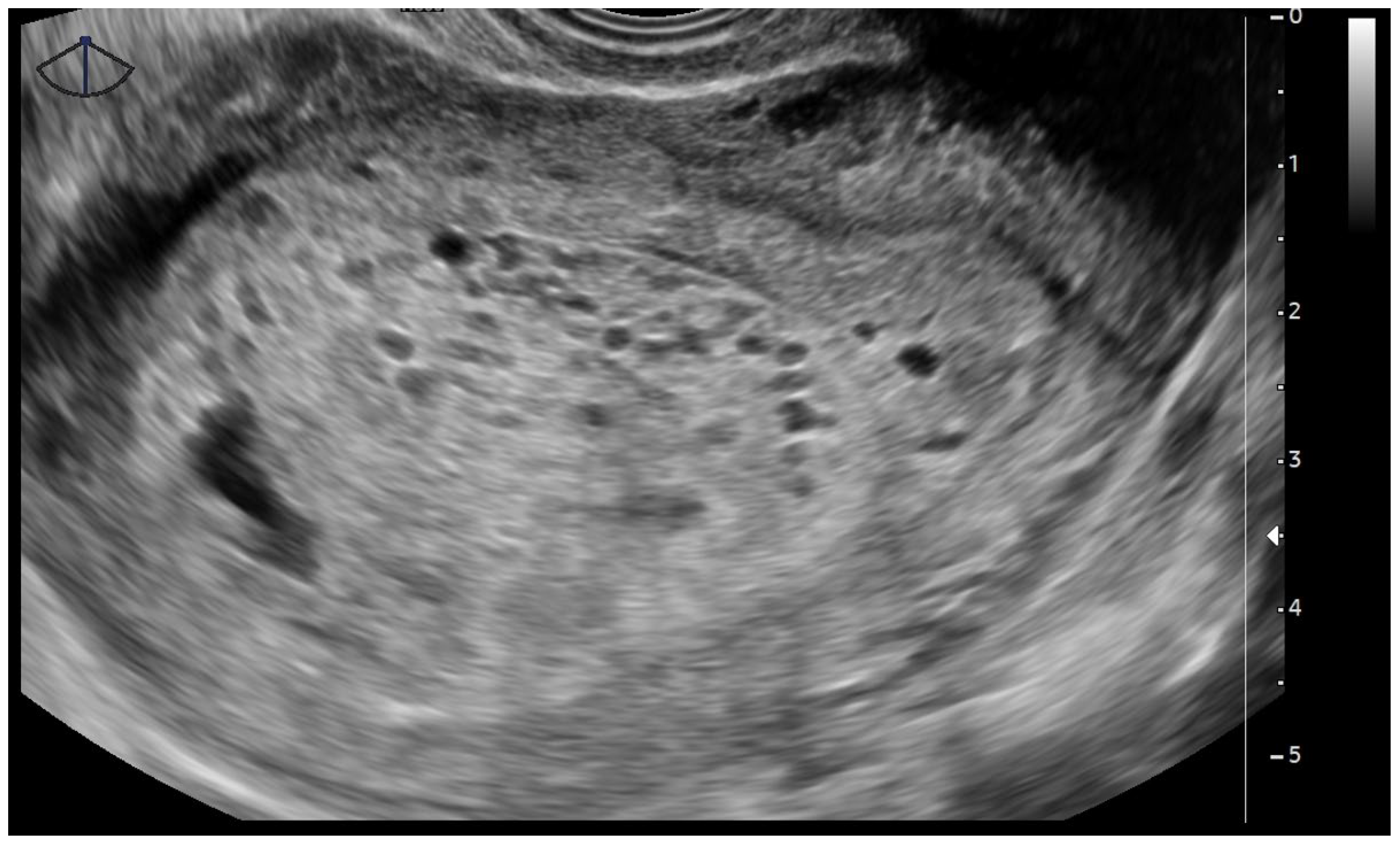 Diagnostics 15 02068 g003 Diagnostics 15 02068 g003