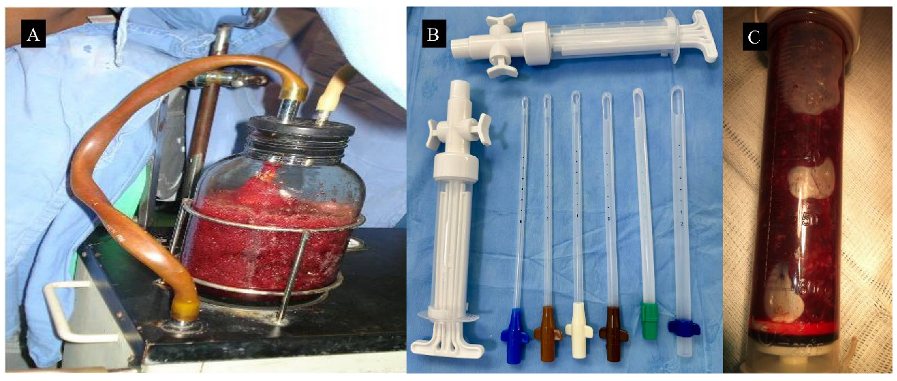 Diagnostics 15 02068 g005 Diagnostics 15 02068 g005