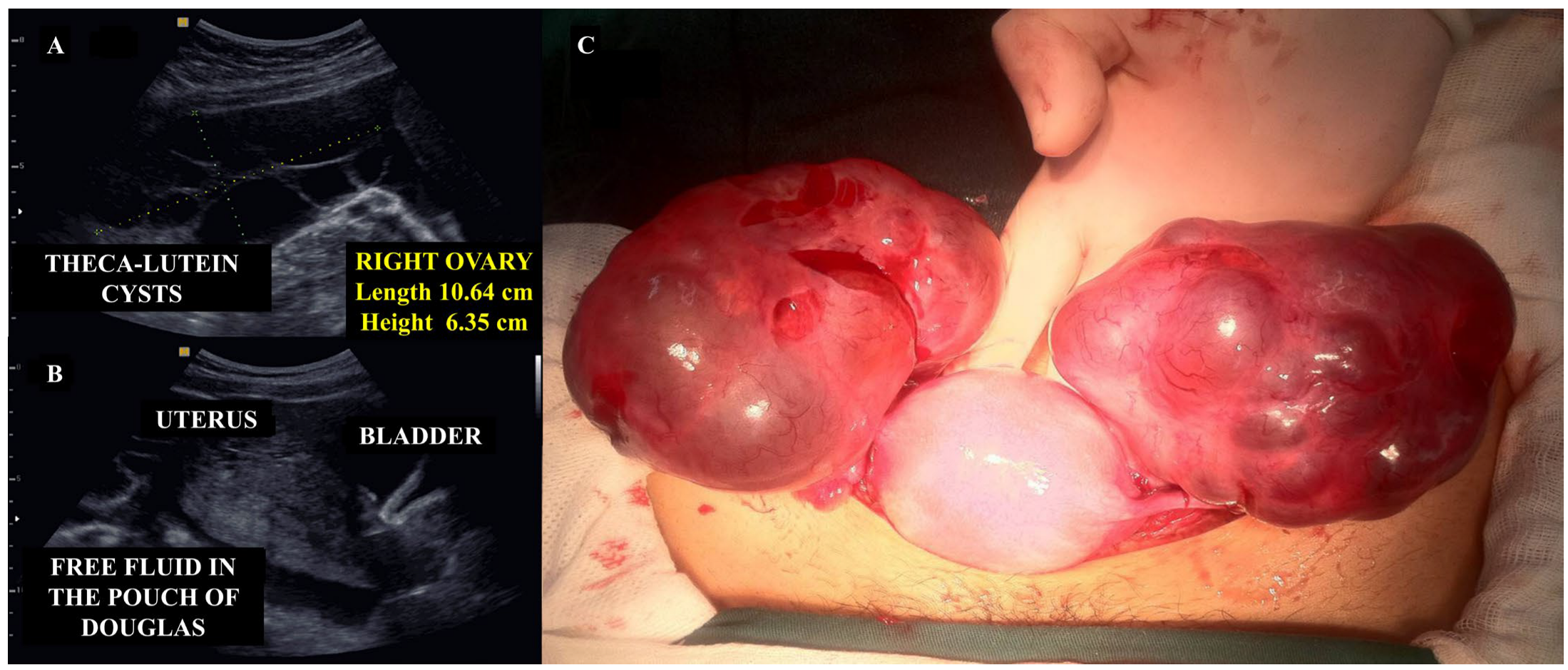 Diagnostics 15 02068 g008 Diagnostics 15 02068 g008