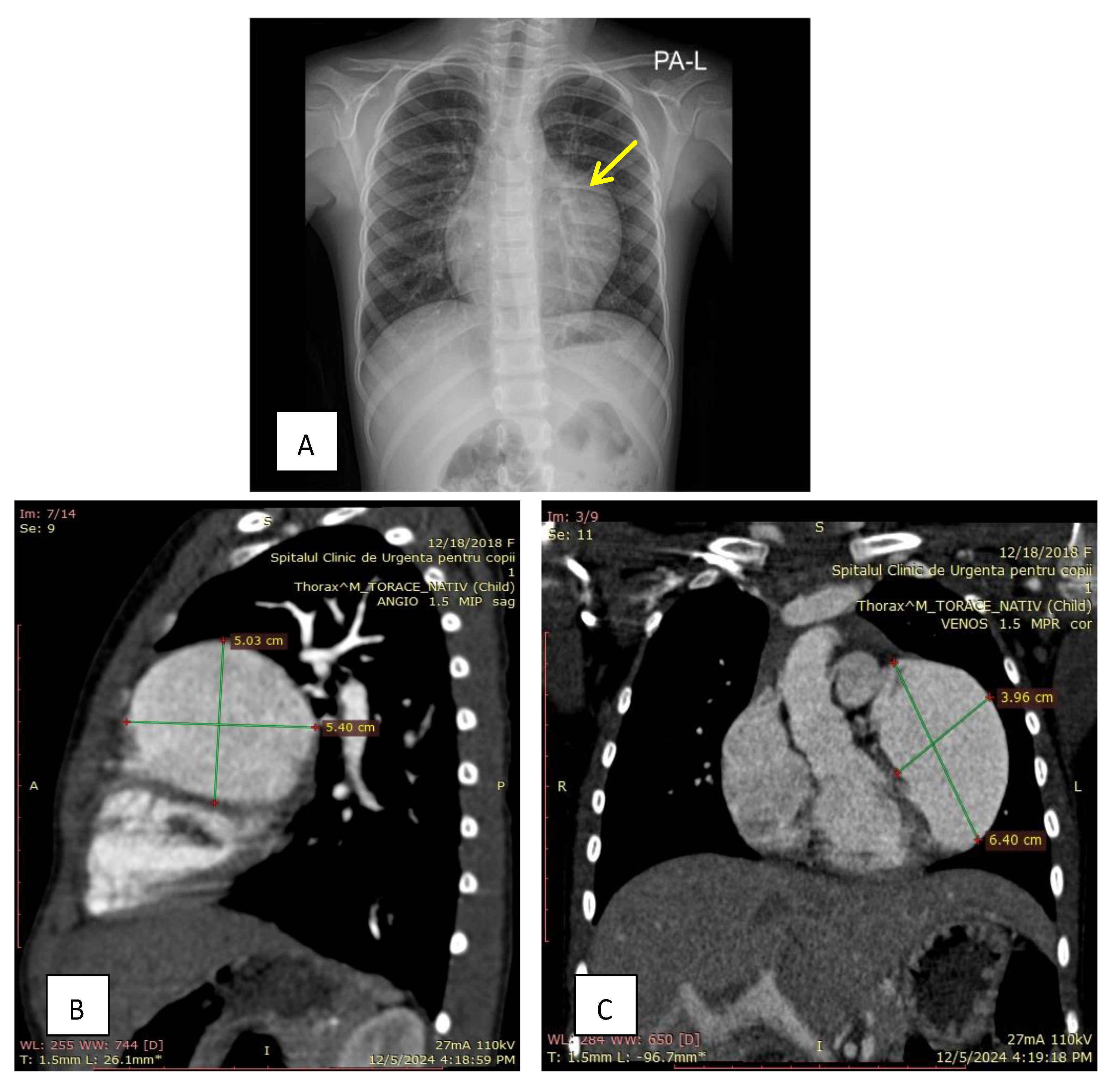 Diagnostics 15 02070 g001 Diagnostics 15 02070 g001