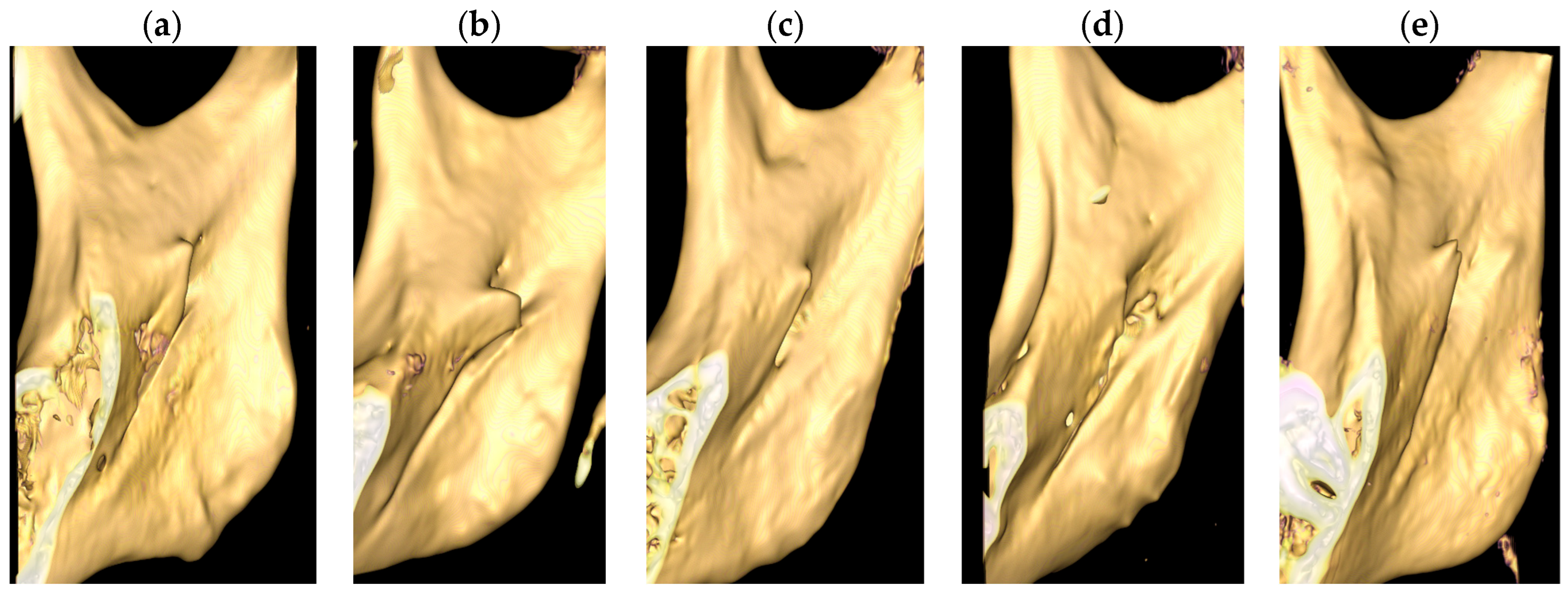Diagnostics 15 02071 g001 Diagnostics 15 02071 g001