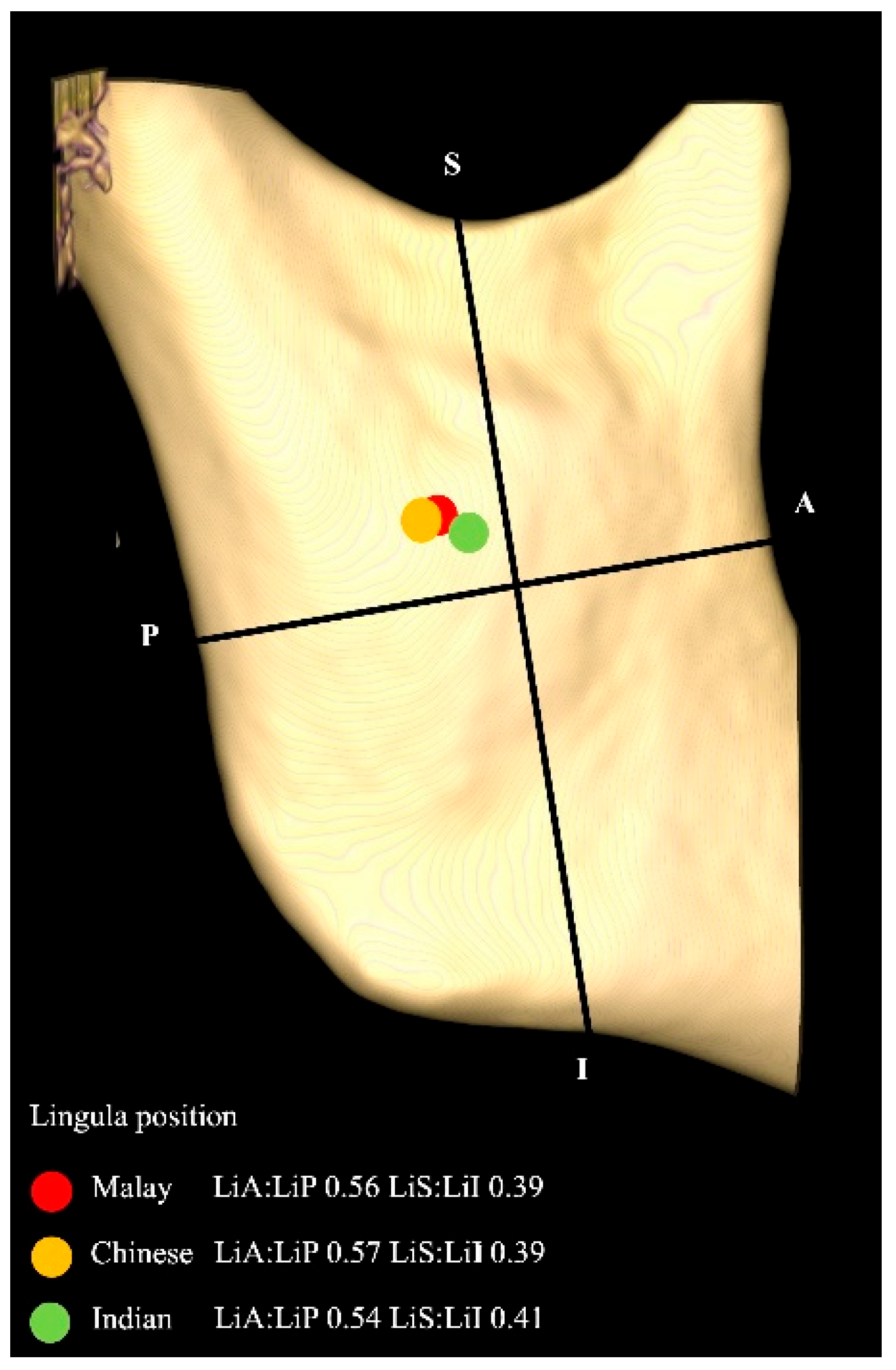 Diagnostics 15 02071 g006 Diagnostics 15 02071 g006