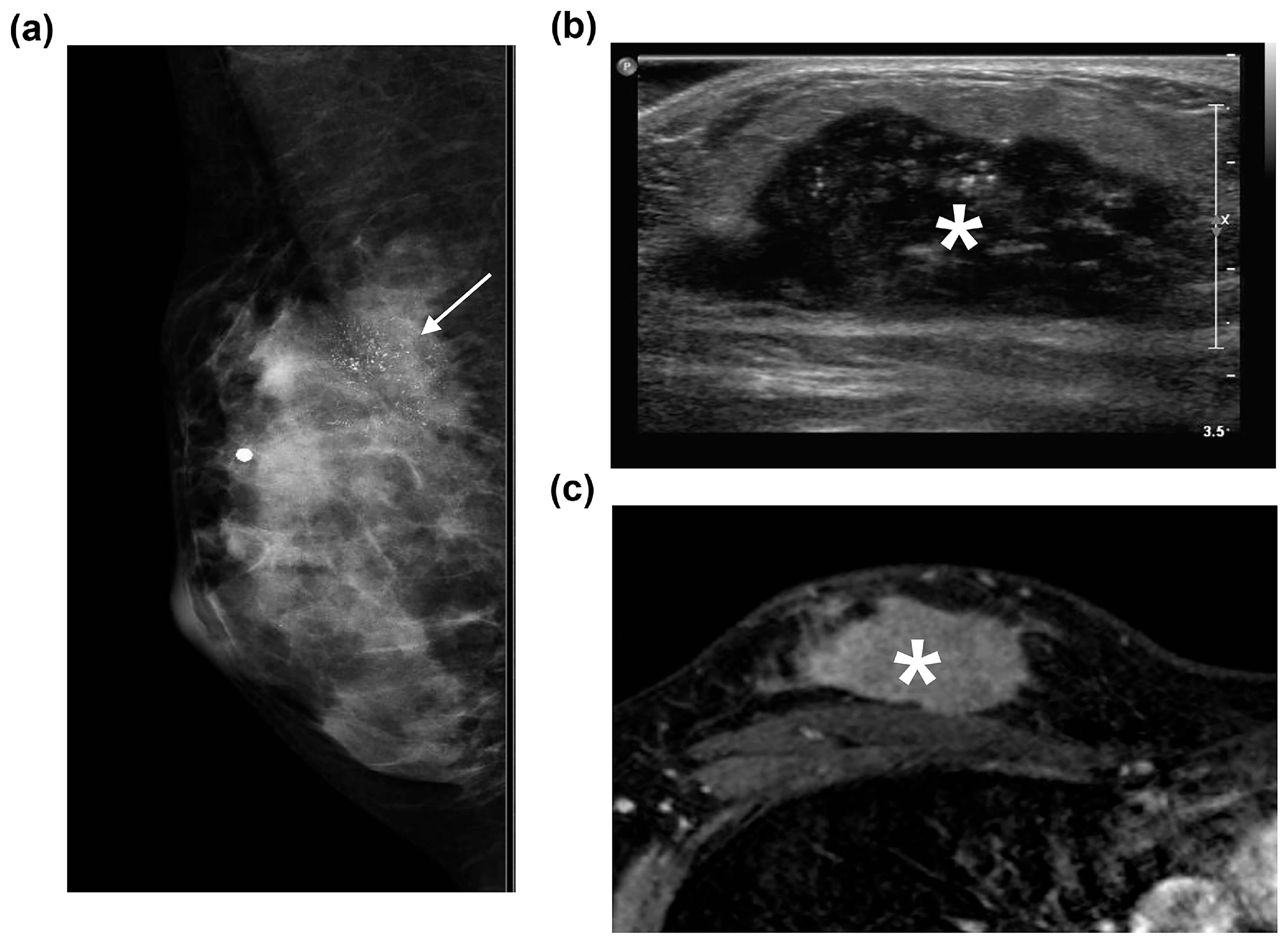 Diagnostics 15 02072 g001 Diagnostics 15 02072 g001