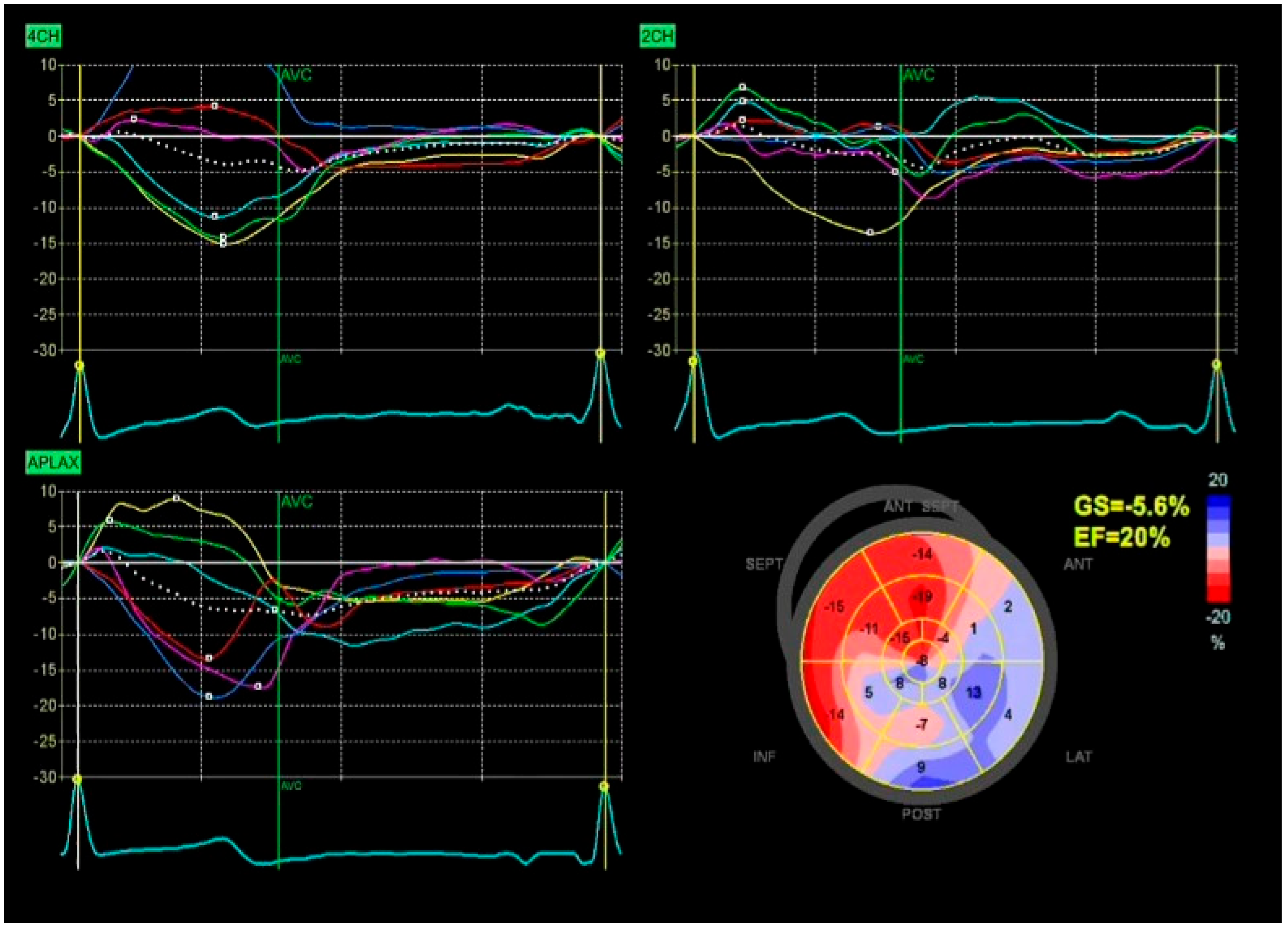 Diagnostics 15 02076 g002