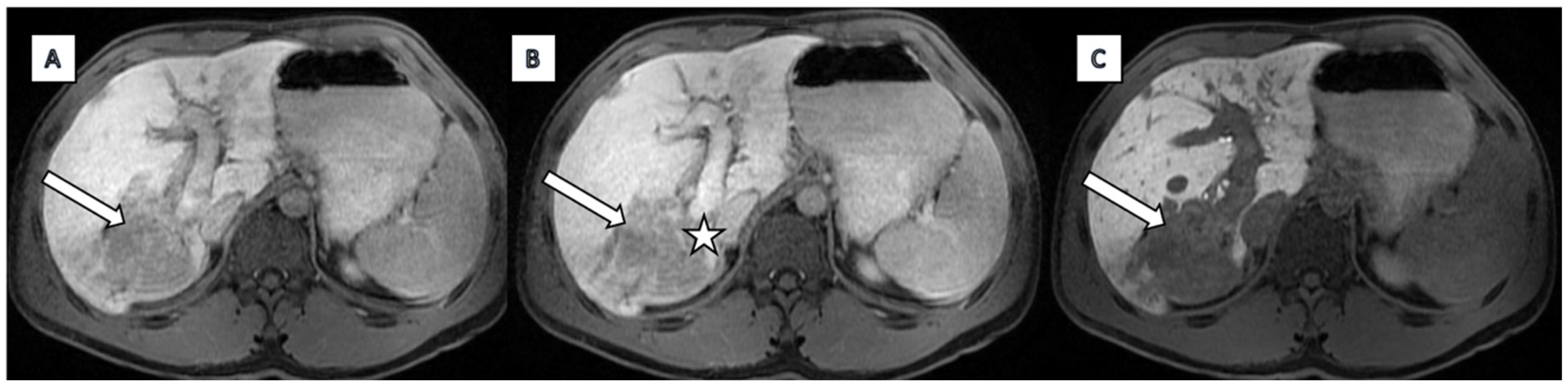 Diagnostics 15 02082 g003