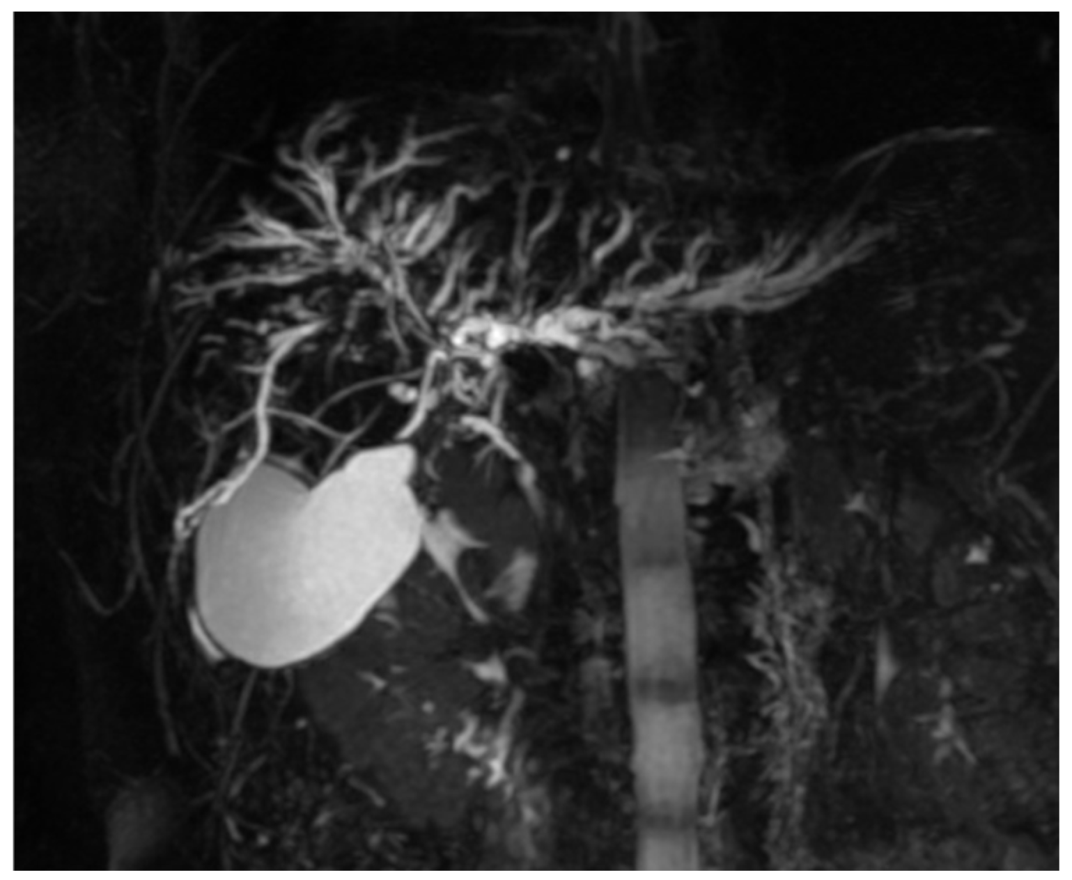 Diagnostics 15 02082 g004