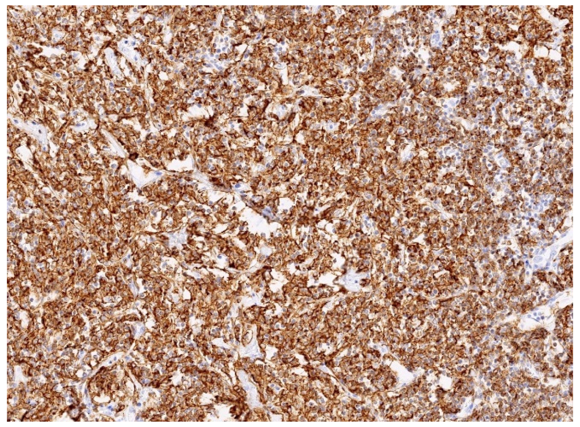 Diagnostics 15 02082 g007