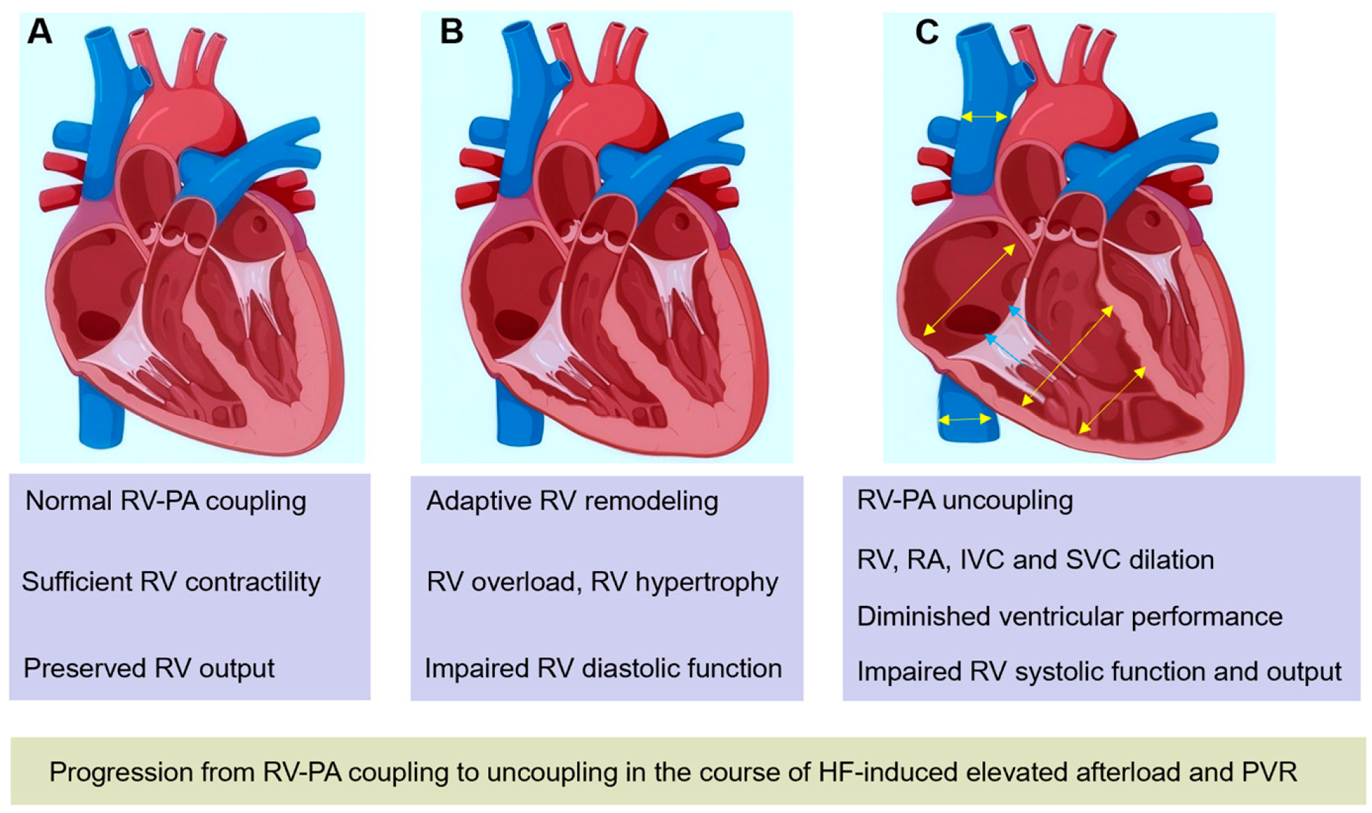 Diagnostics 15 02083 g001 Diagnostics 15 02083 g001