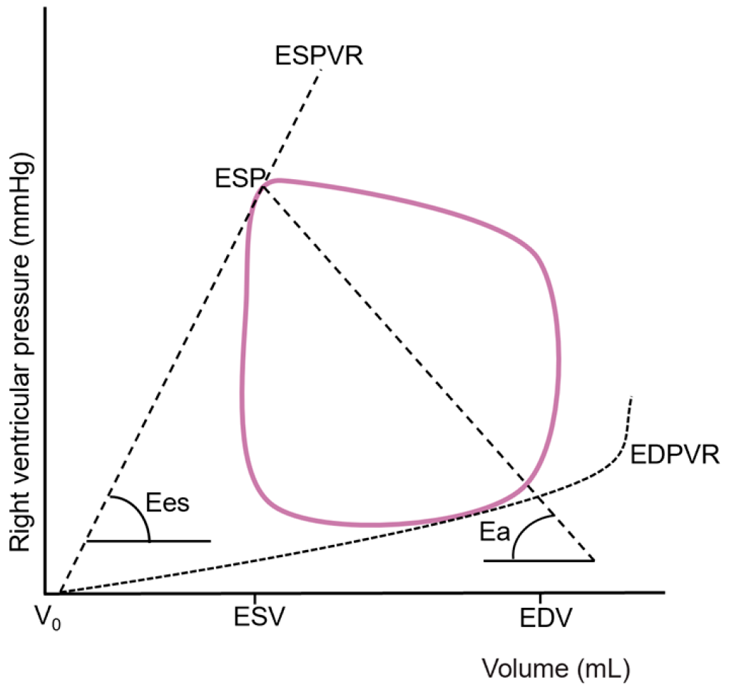 Diagnostics 15 02083 g002 Diagnostics 15 02083 g002