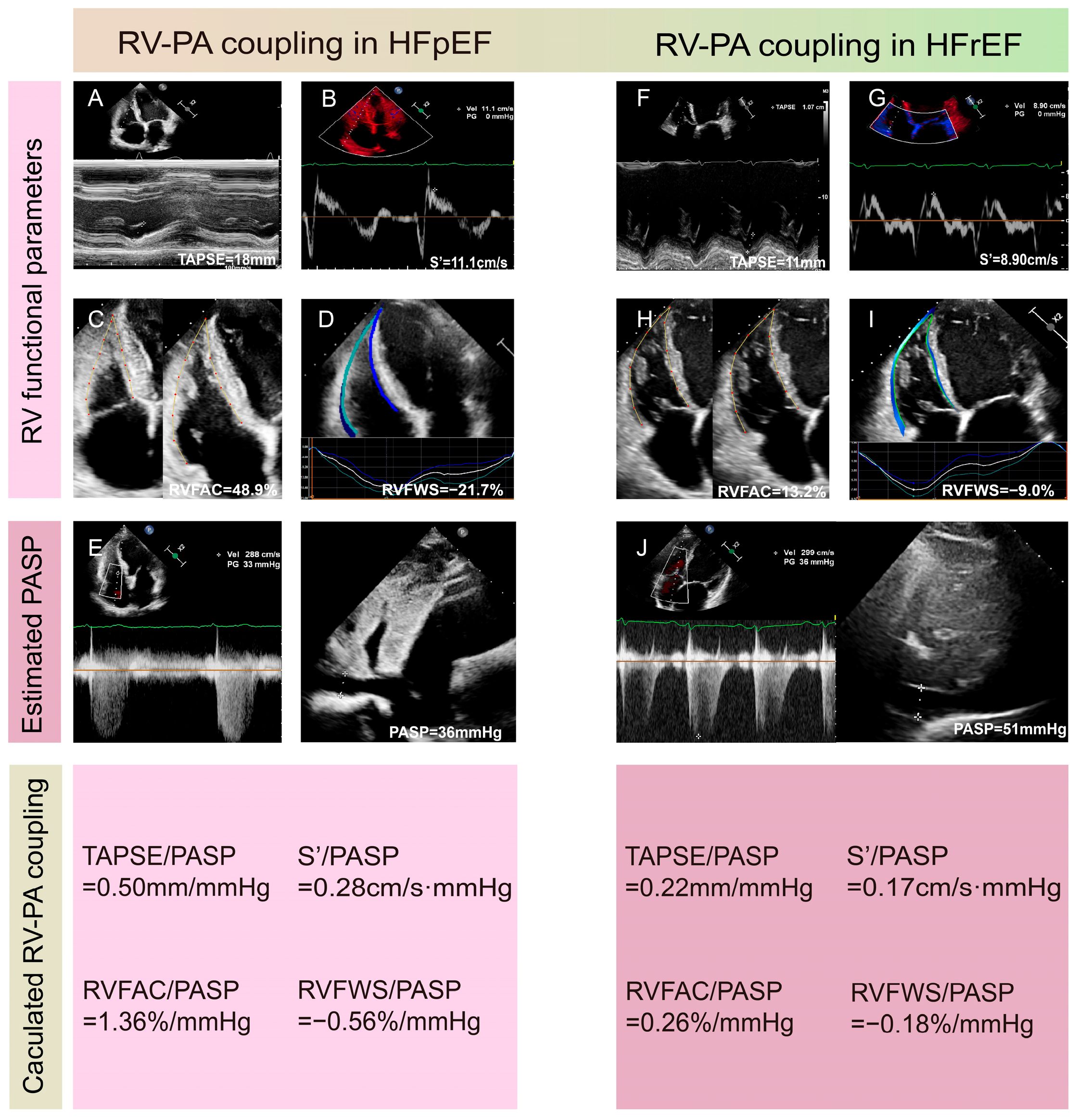 Diagnostics 15 02083 g003 Diagnostics 15 02083 g003