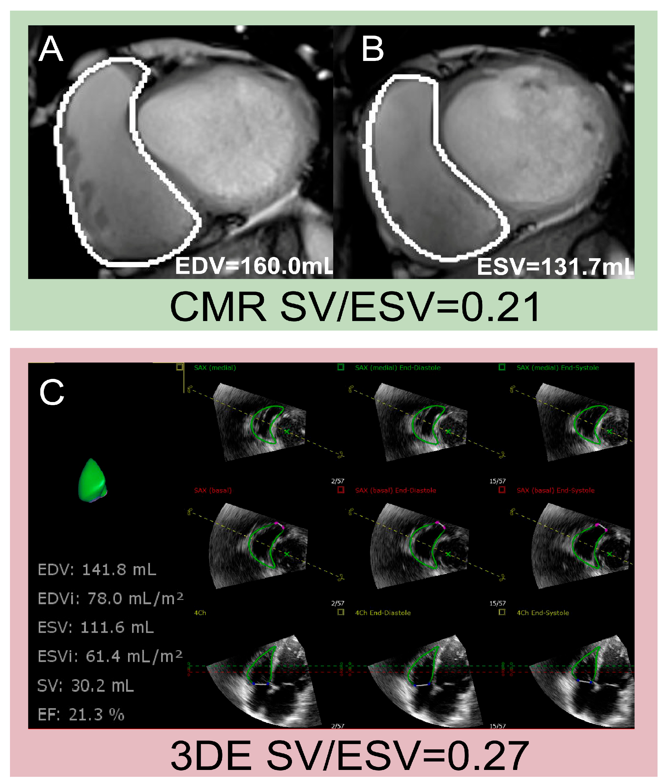 Diagnostics 15 02083 g004 Diagnostics 15 02083 g004
