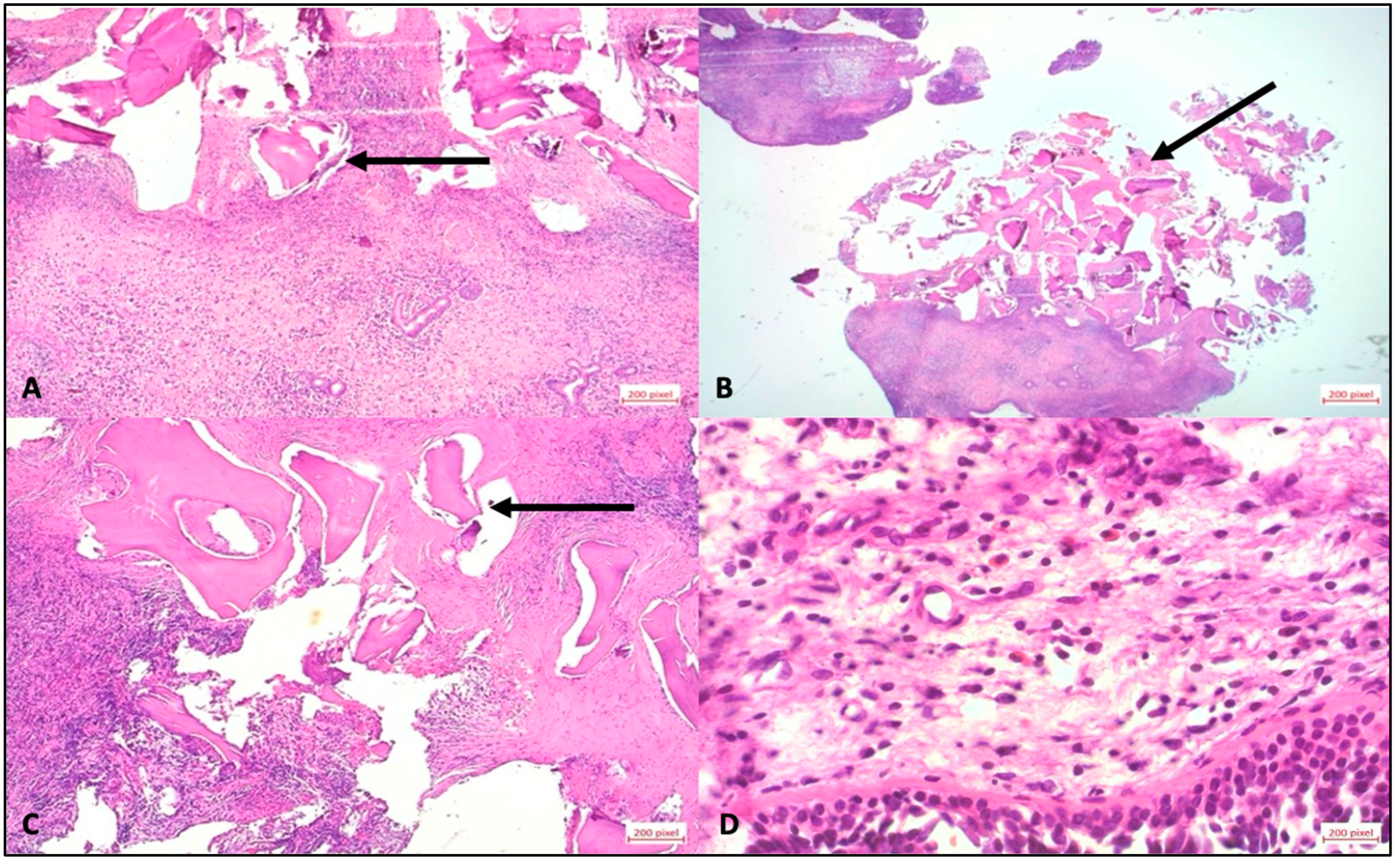Diagnostics 15 02089 g004