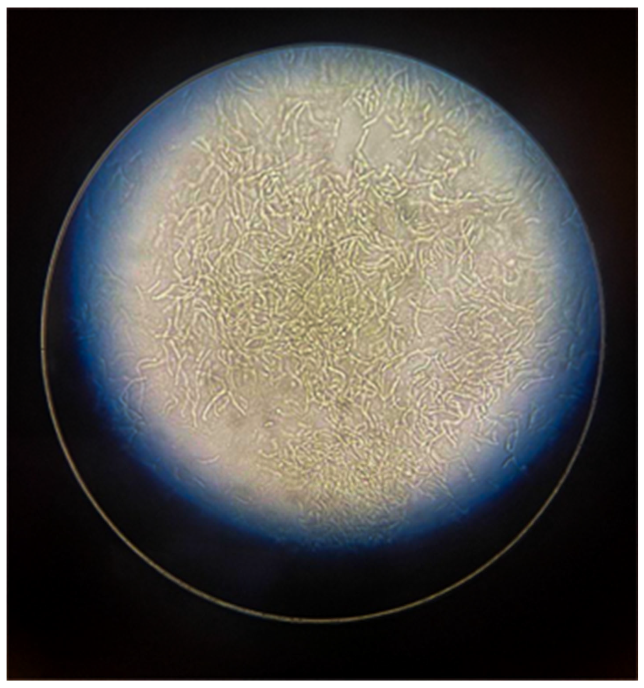 Diagnostics 15 02100 g001 Diagnostics 15 02100 g001