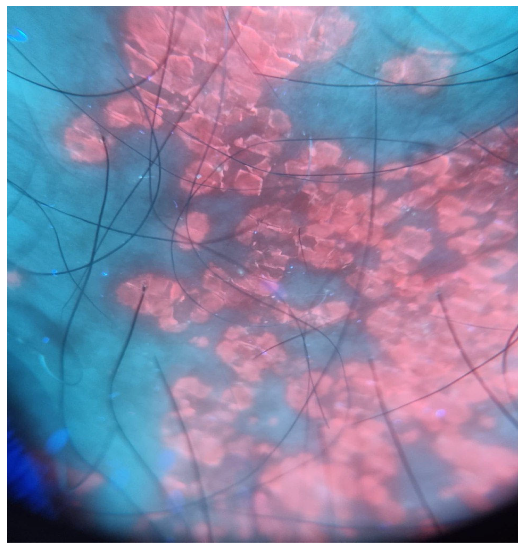 Diagnostics 15 02100 g003 Diagnostics 15 02100 g003