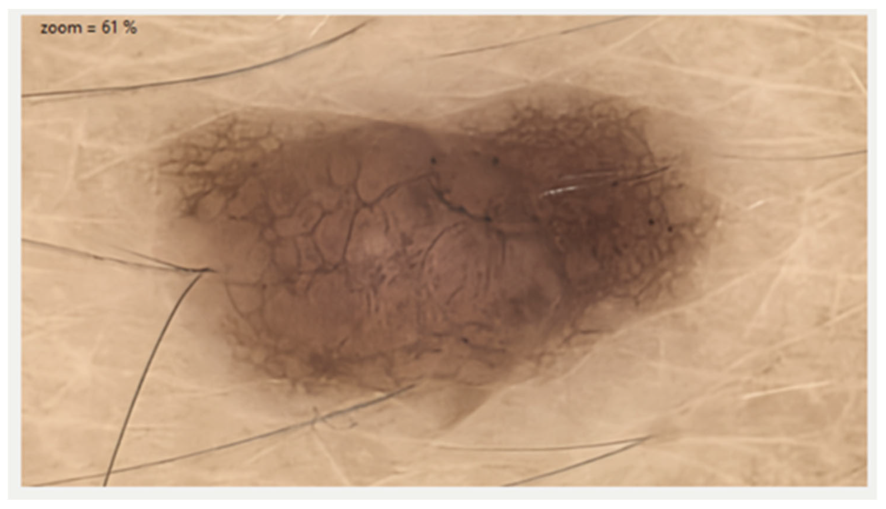 Diagnostics 15 02100 g010 Diagnostics 15 02100 g010