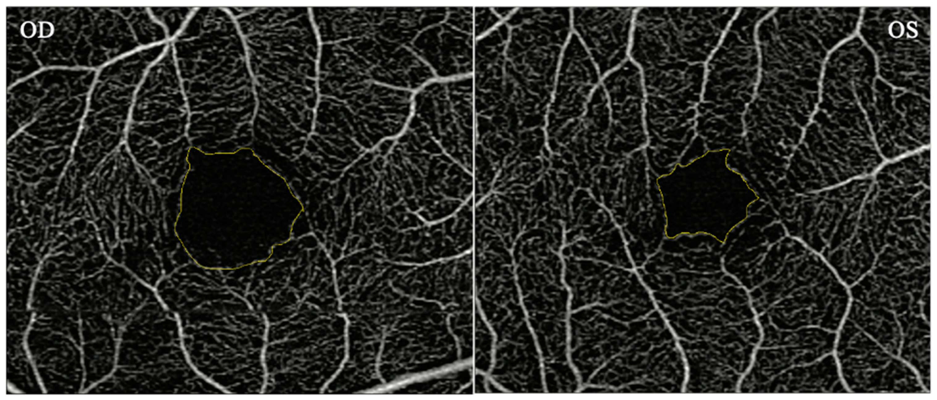 Diagnostics 15 02103 g001