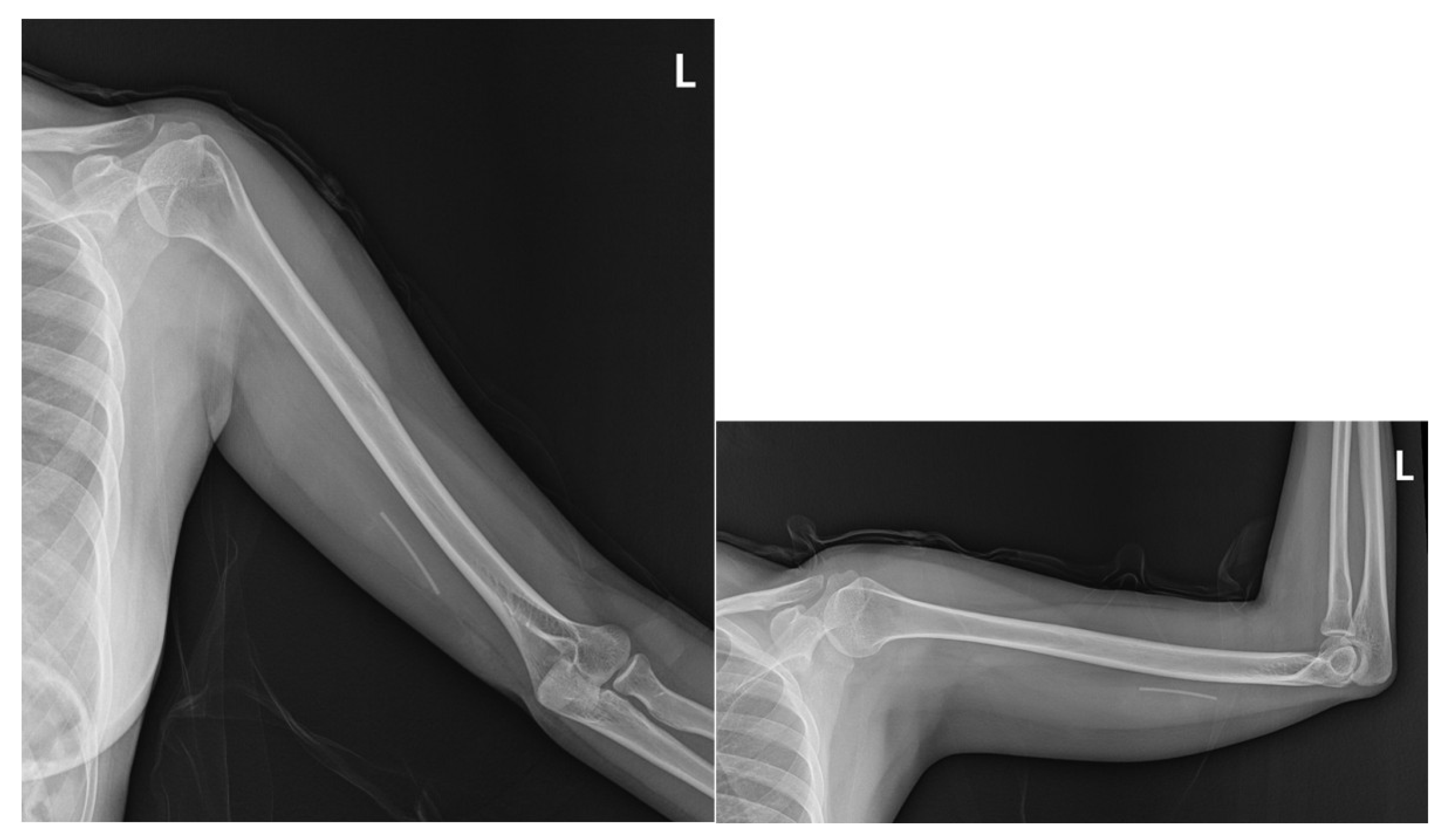 Diagnostics 15 02106 g003