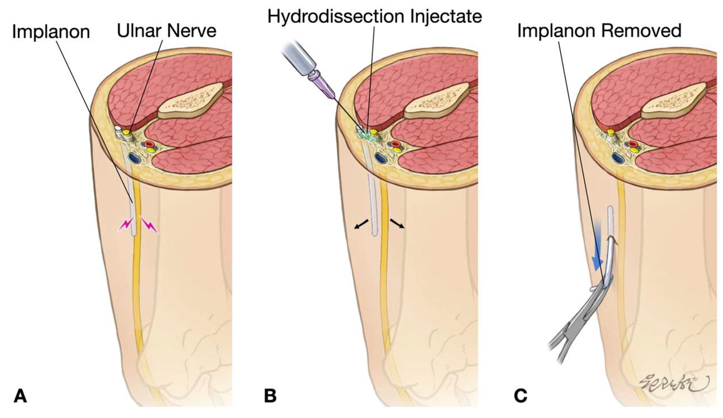 Diagnostics 15 02106 g005
