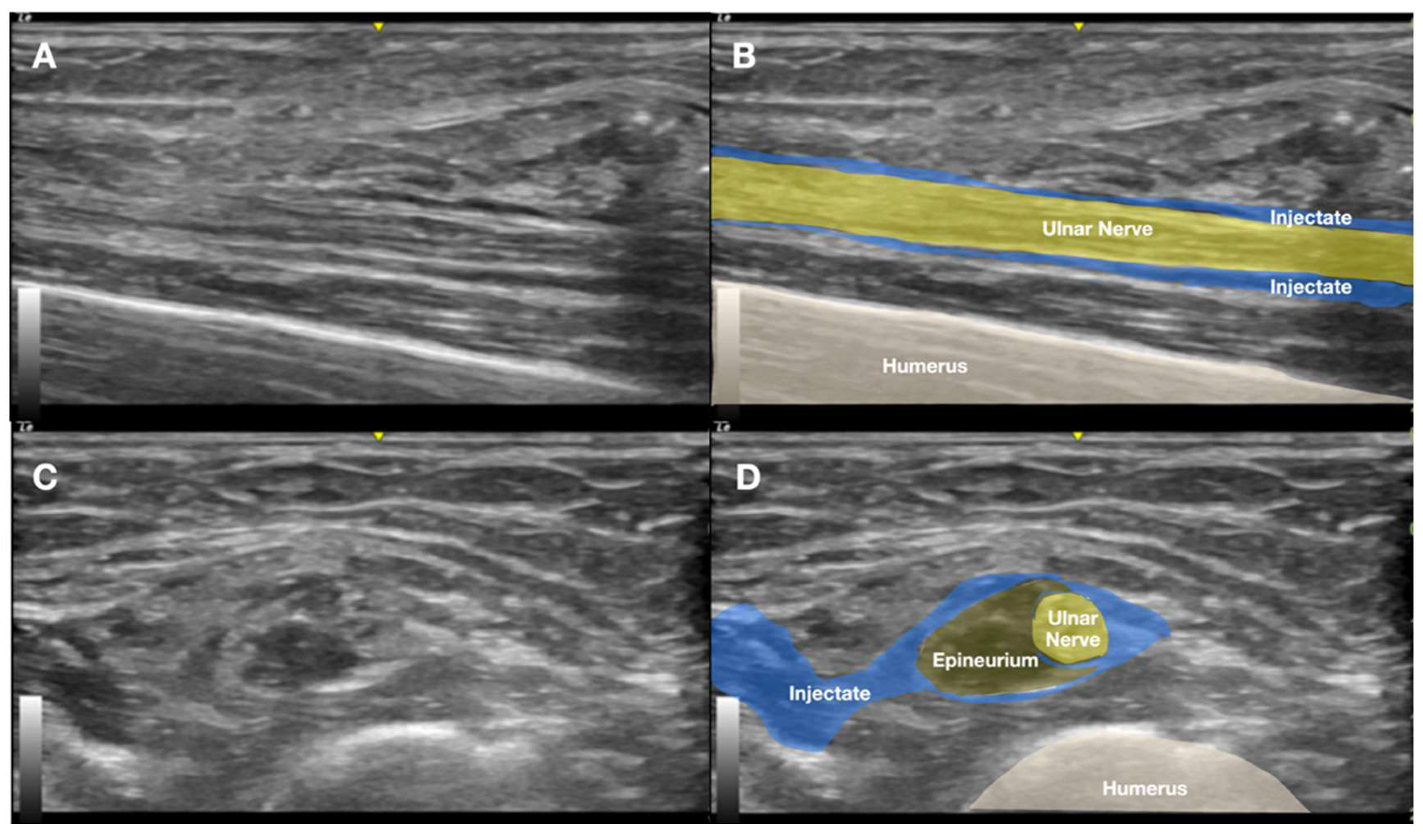 Diagnostics 15 02106 g008