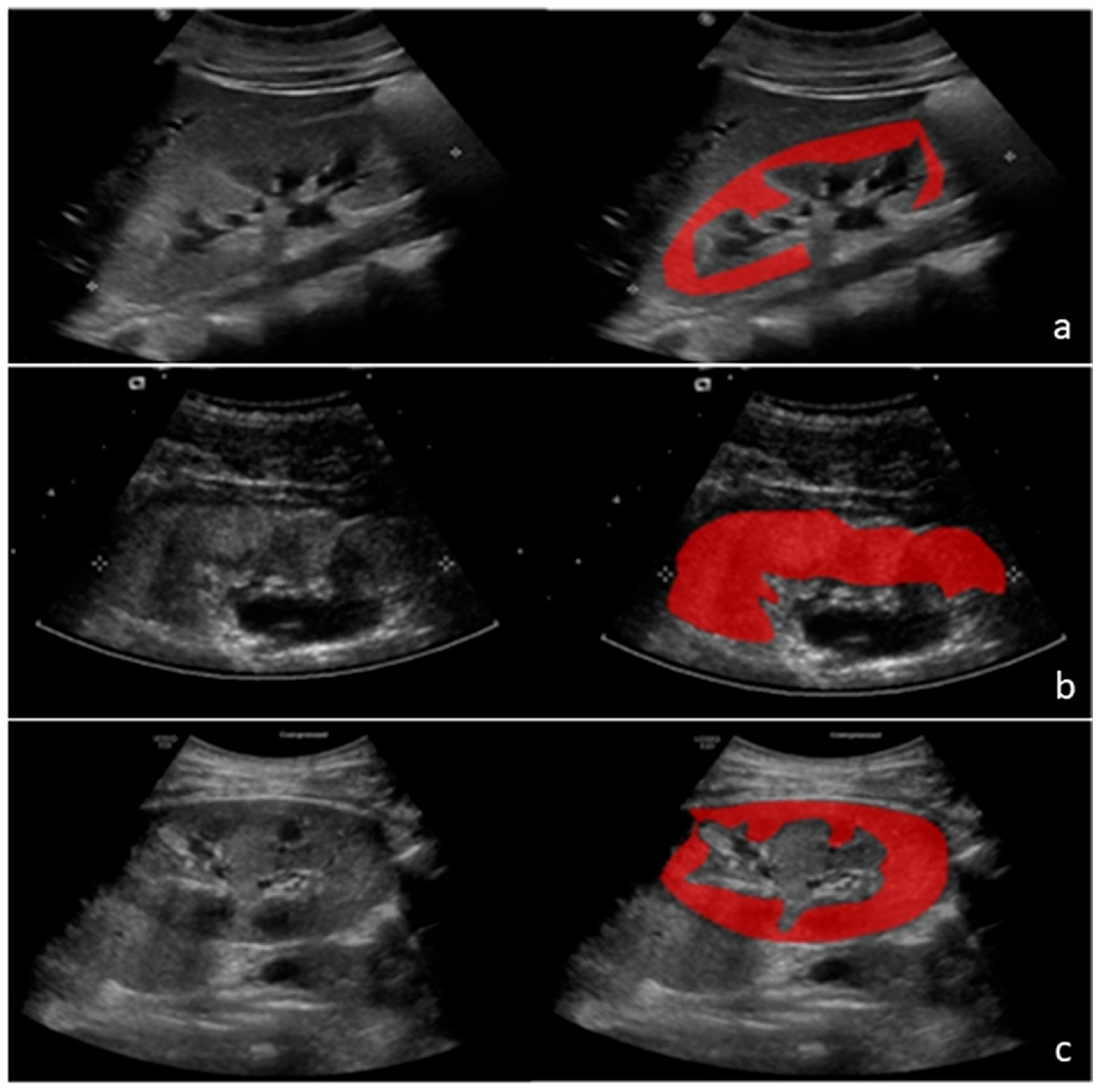 Diagnostics 15 02112 g001 Diagnostics 15 02112 g001