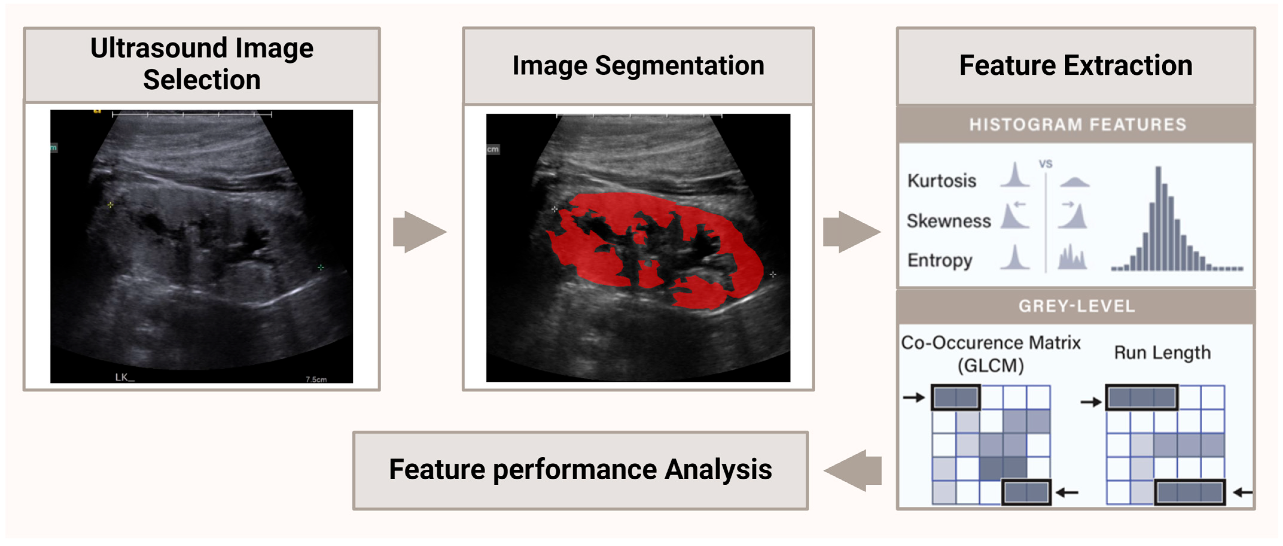 Diagnostics 15 02112 g002 Diagnostics 15 02112 g002