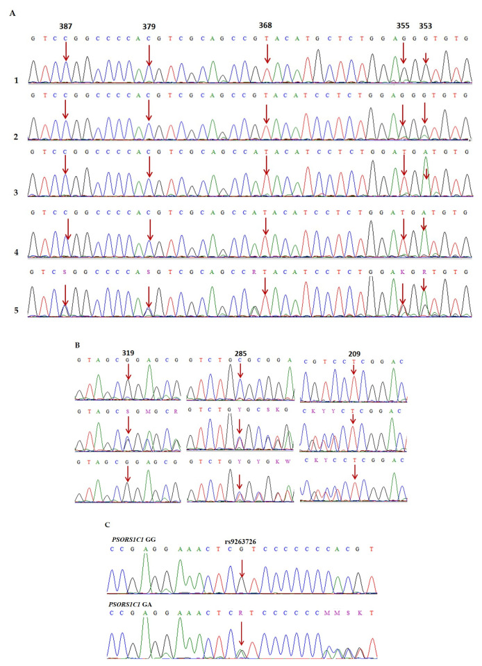 Diagnostics 15 02114 g001 Diagnostics 15 02114 g001