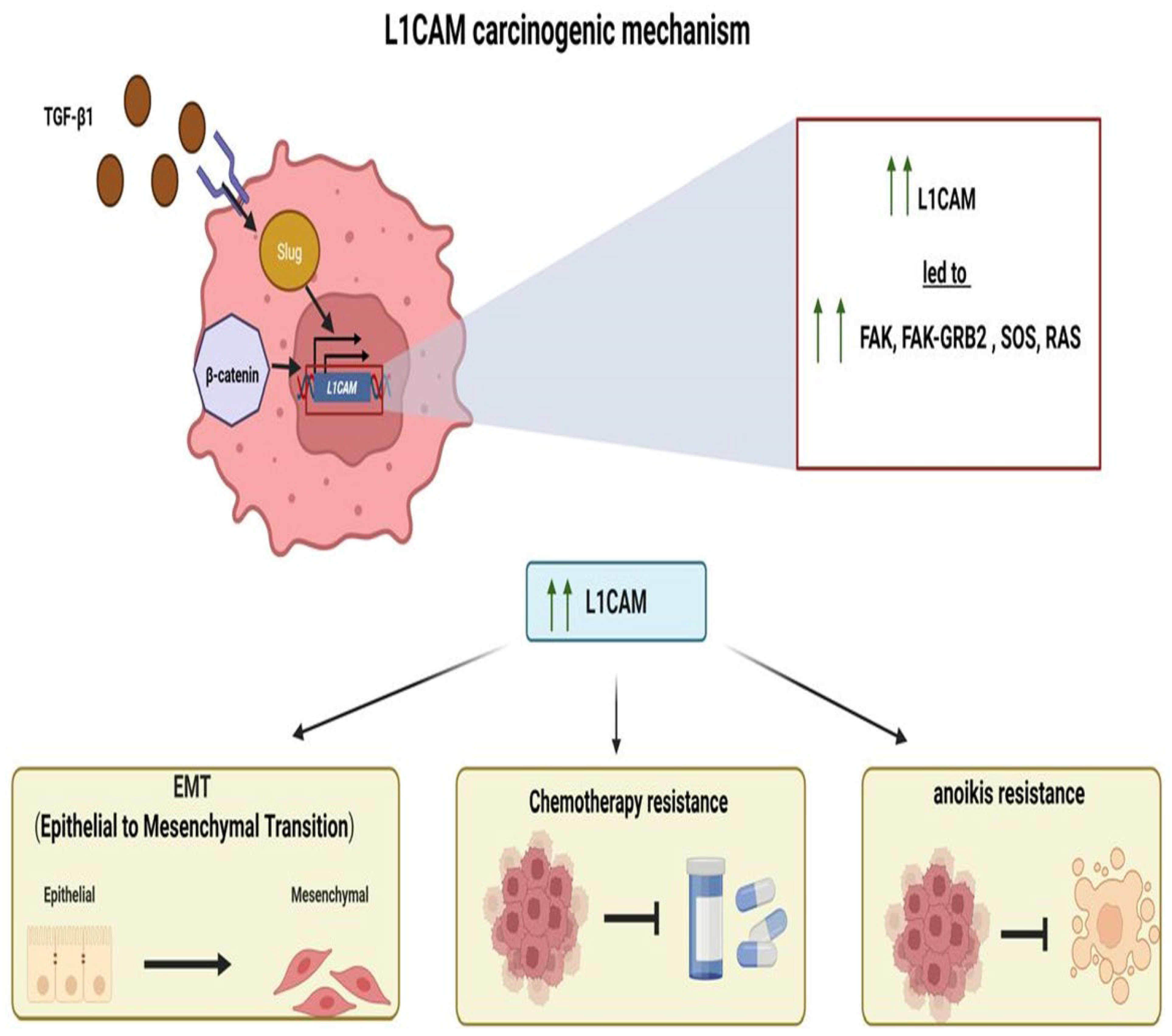 Diagnostics 15 02115 g001 Diagnostics 15 02115 g001