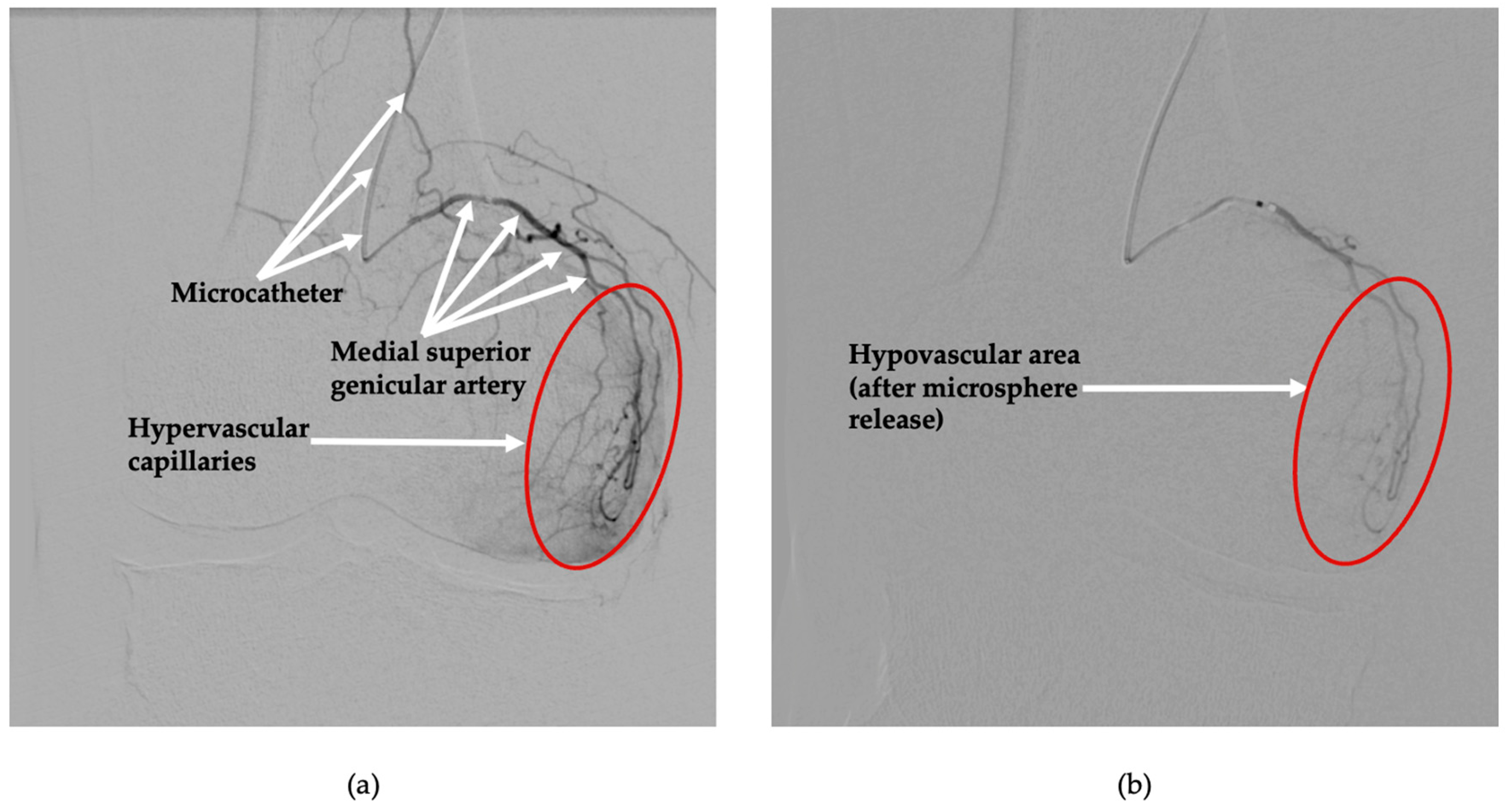 Diagnostics 15 02123 g001 Diagnostics 15 02123 g001