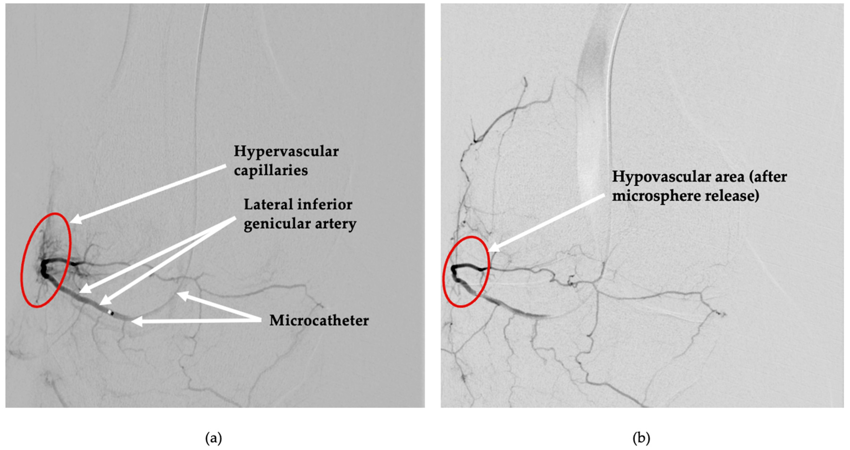Diagnostics 15 02123 g002 Diagnostics 15 02123 g002