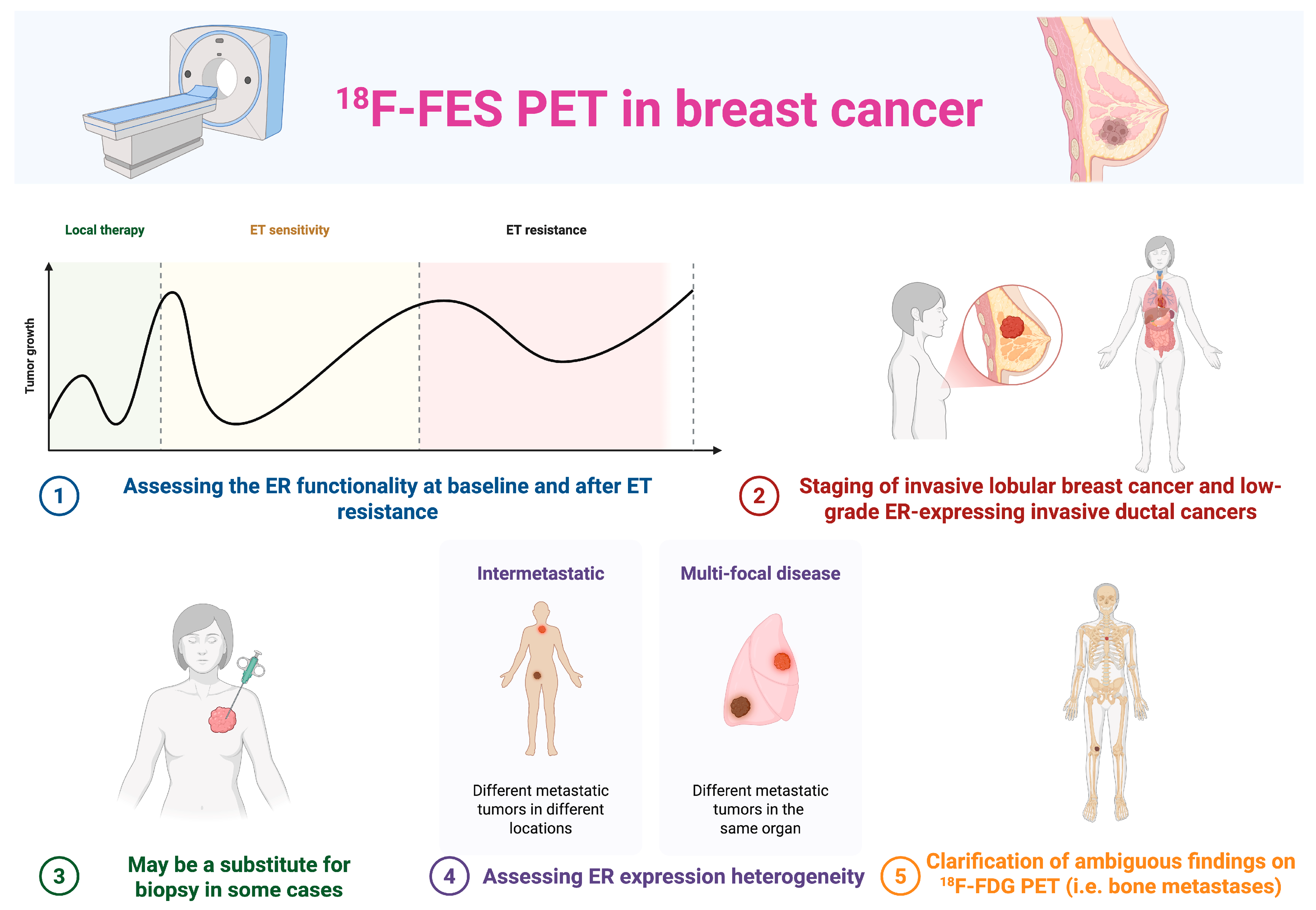 Diagnostics 15 02139 g001