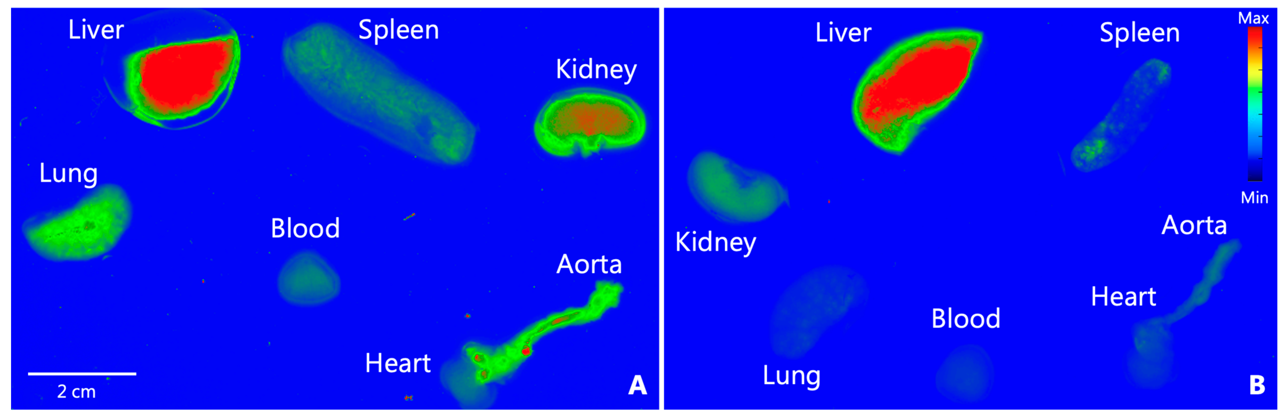 Diagnostics 15 02140 g005 Diagnostics 15 02140 g005