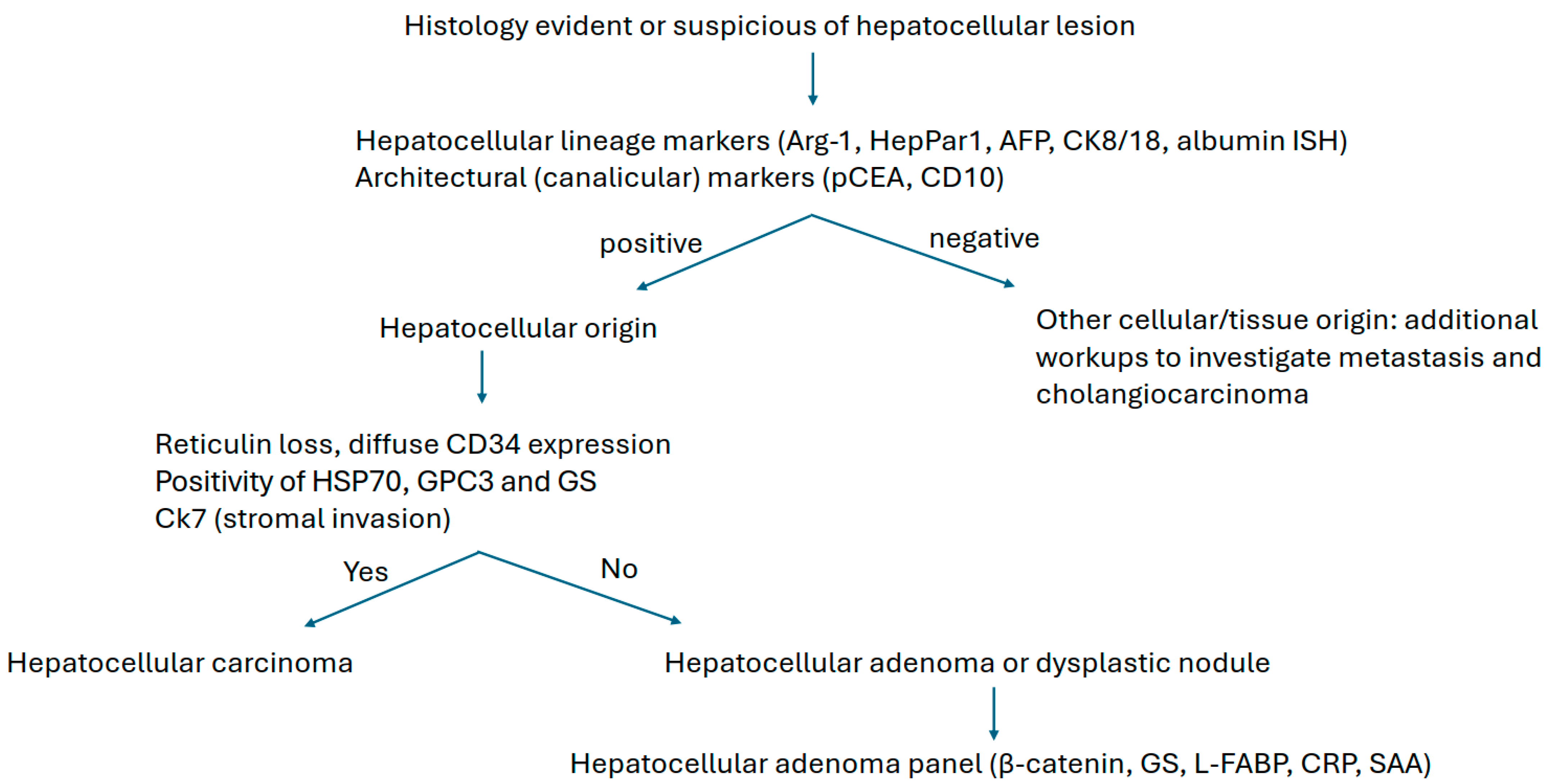 Diagnostics 15 02144 g002 Diagnostics 15 02144 g002