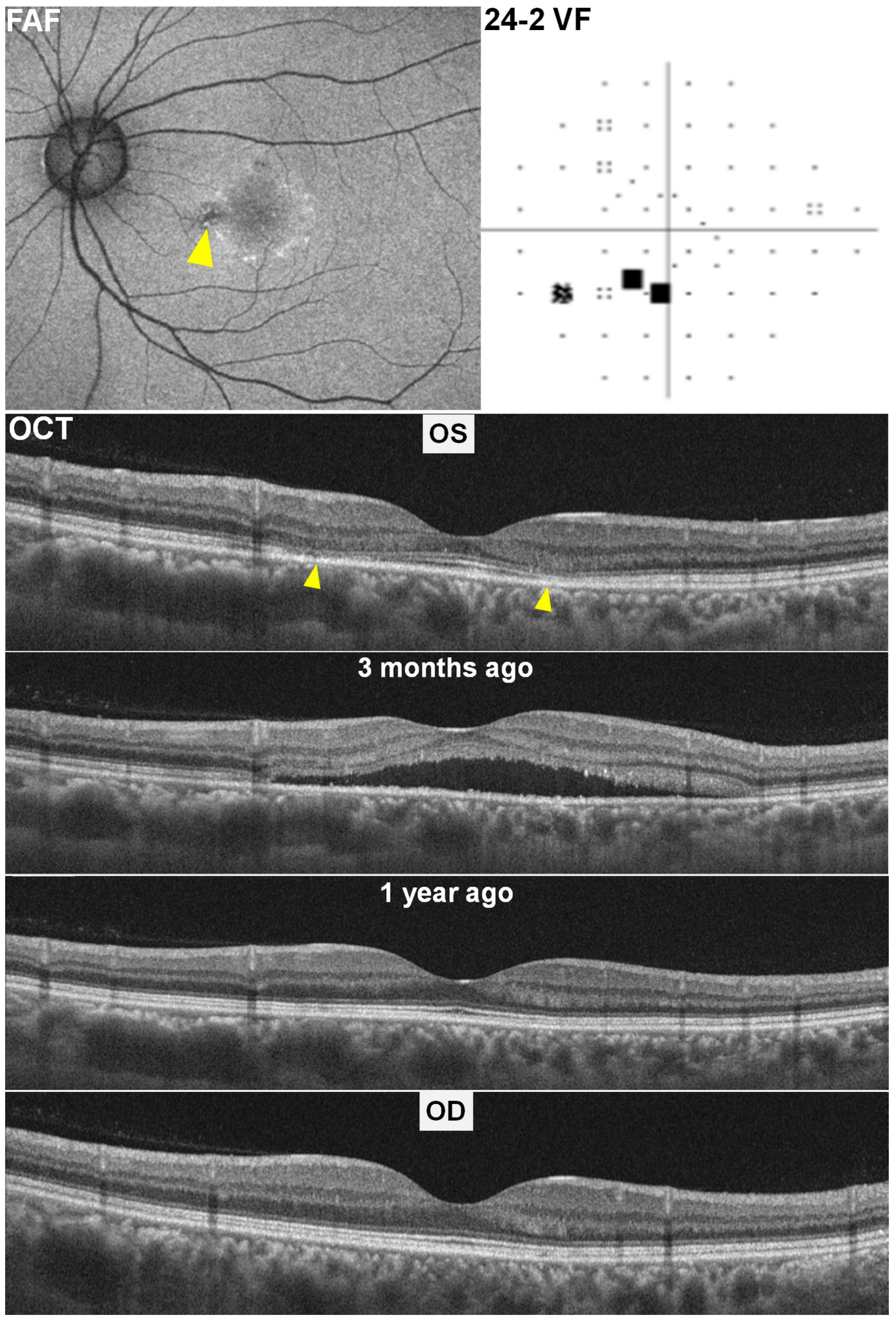 Diagnostics 15 02154 g002