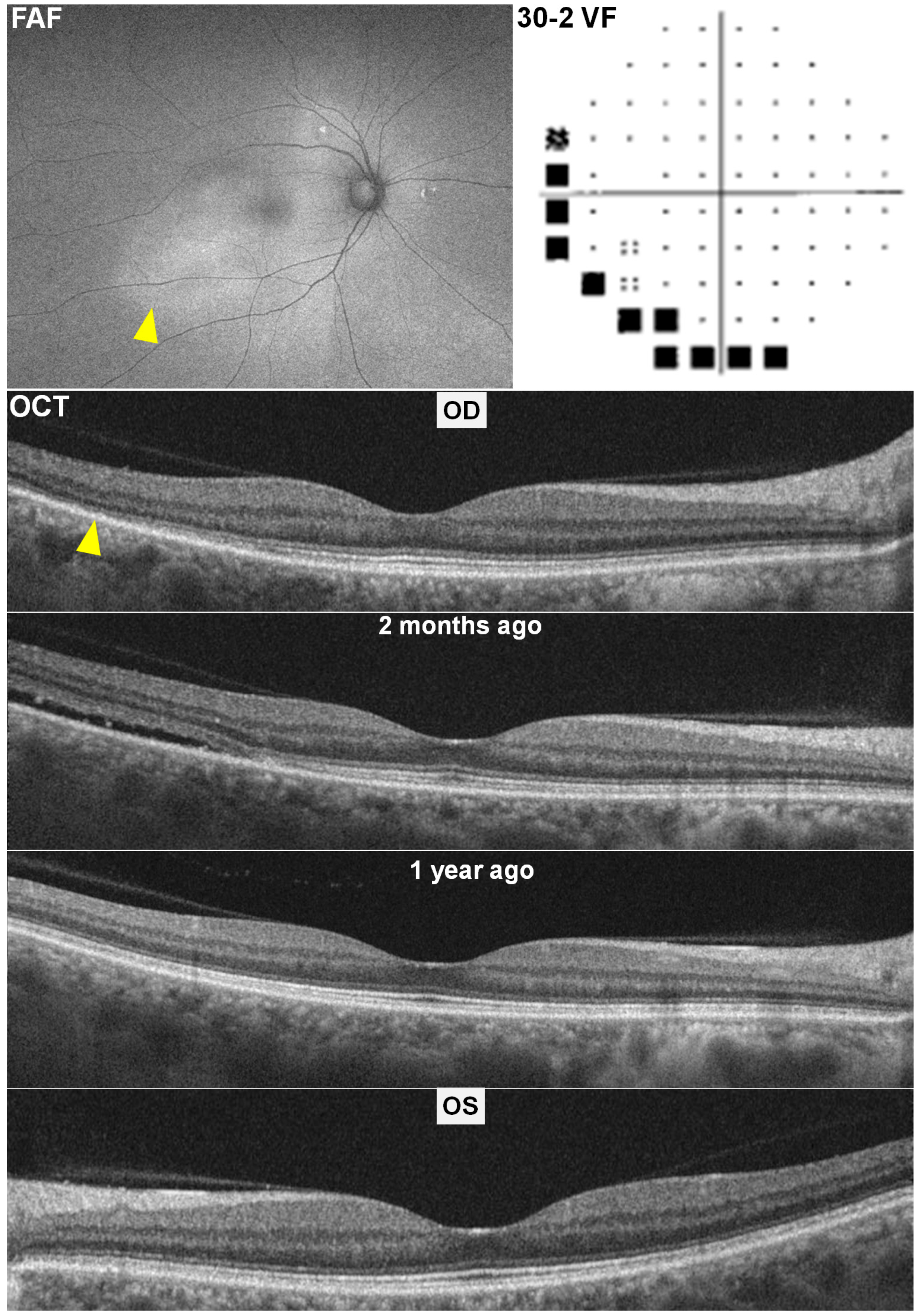 Diagnostics 15 02154 g003