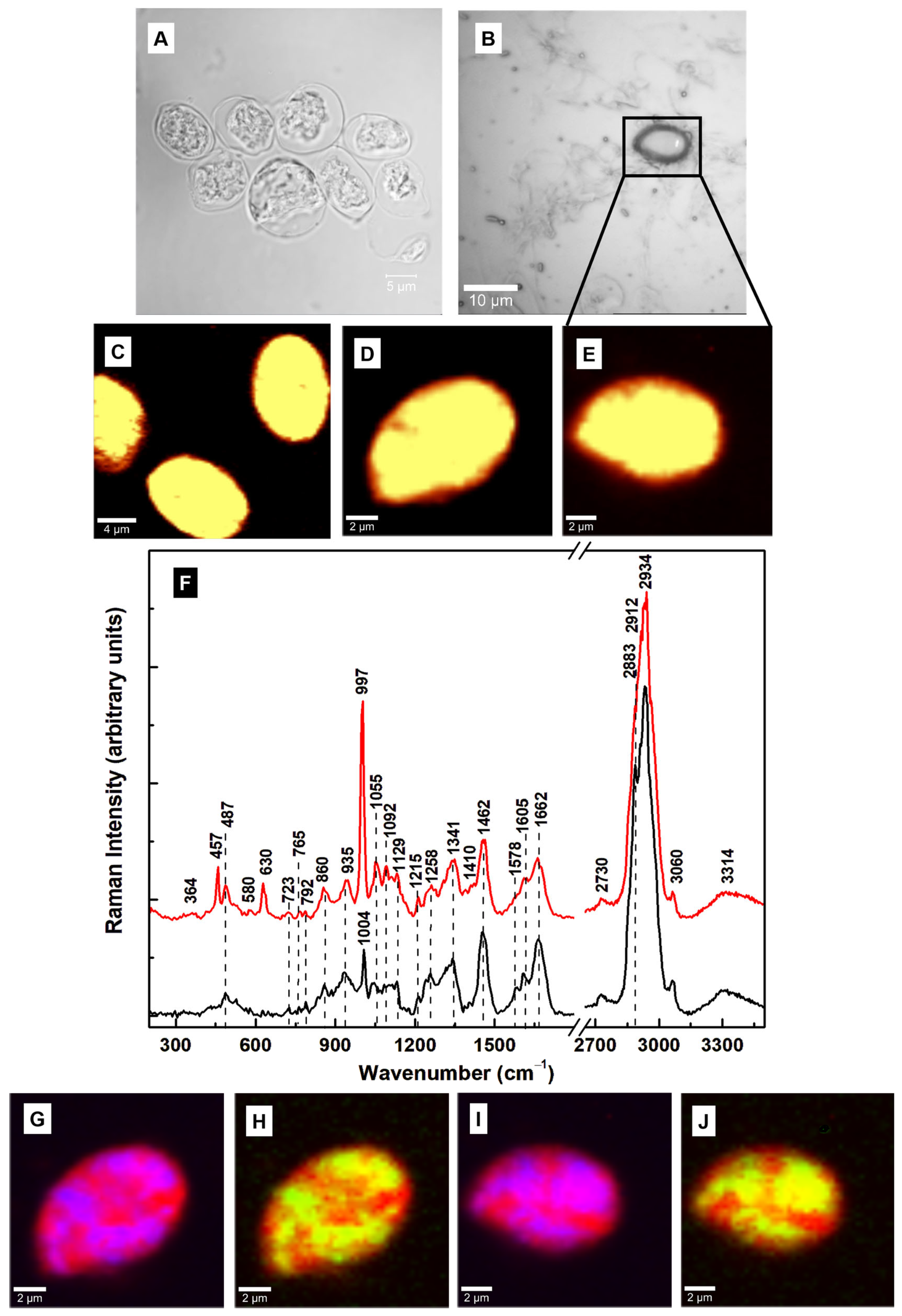 Diagnostics 15 02161 g003