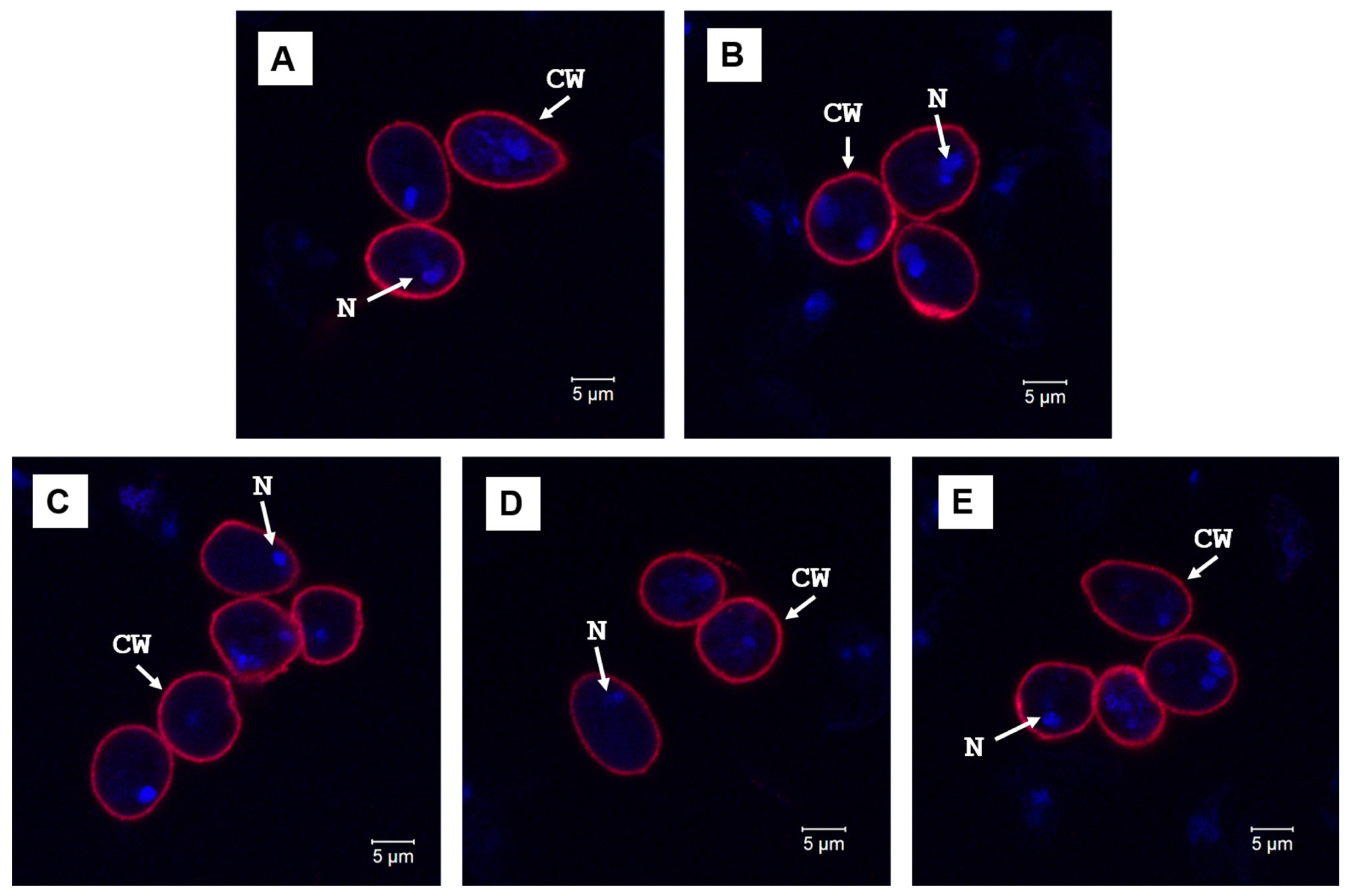 Diagnostics 15 02161 g004