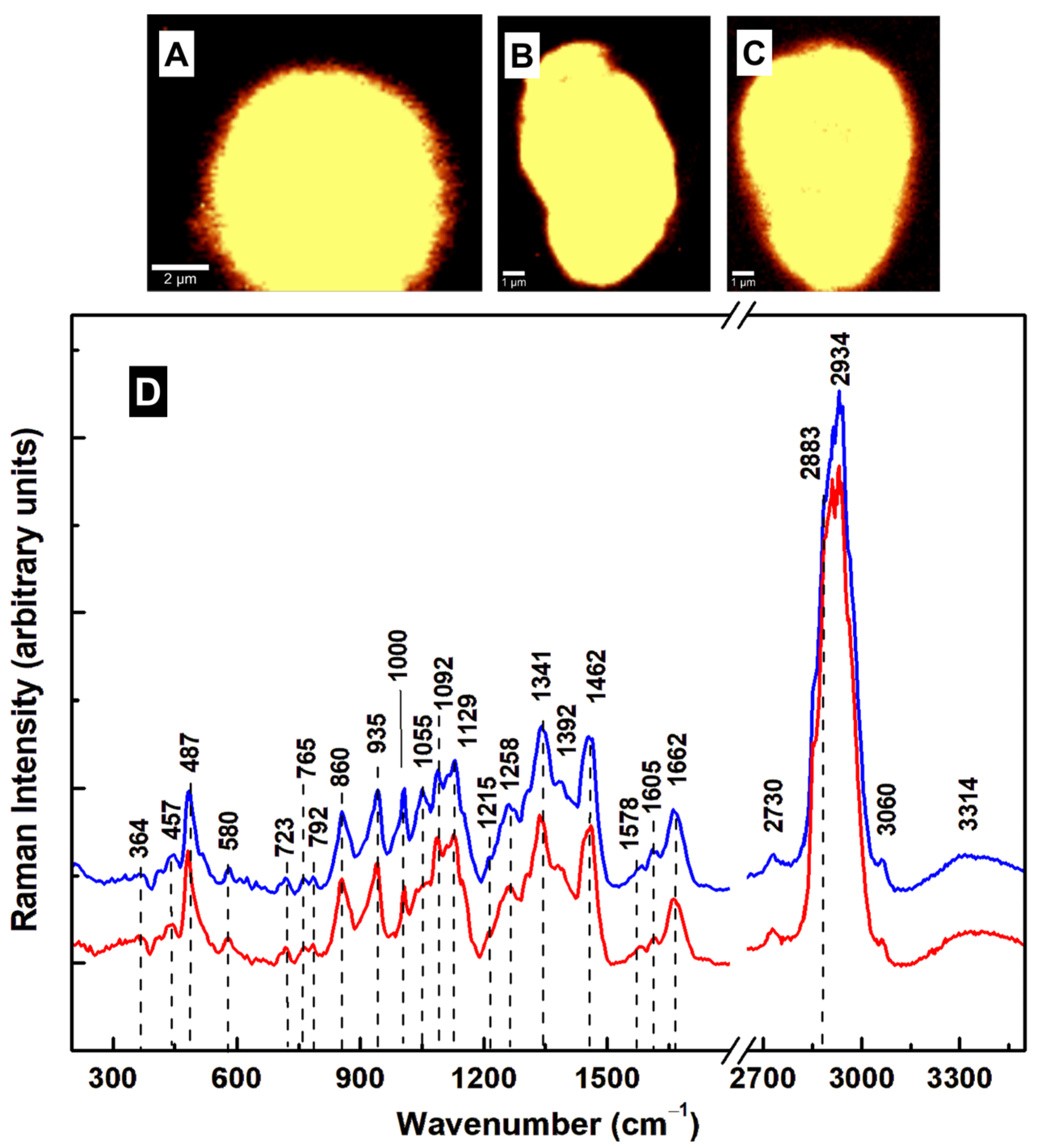 Diagnostics 15 02161 g006
