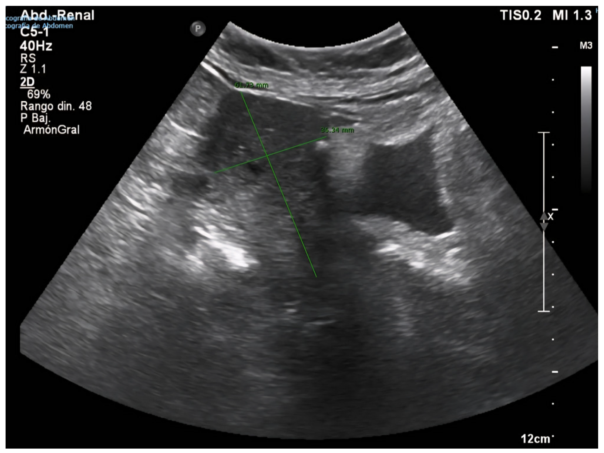 Diagnostics 15 02164 g002